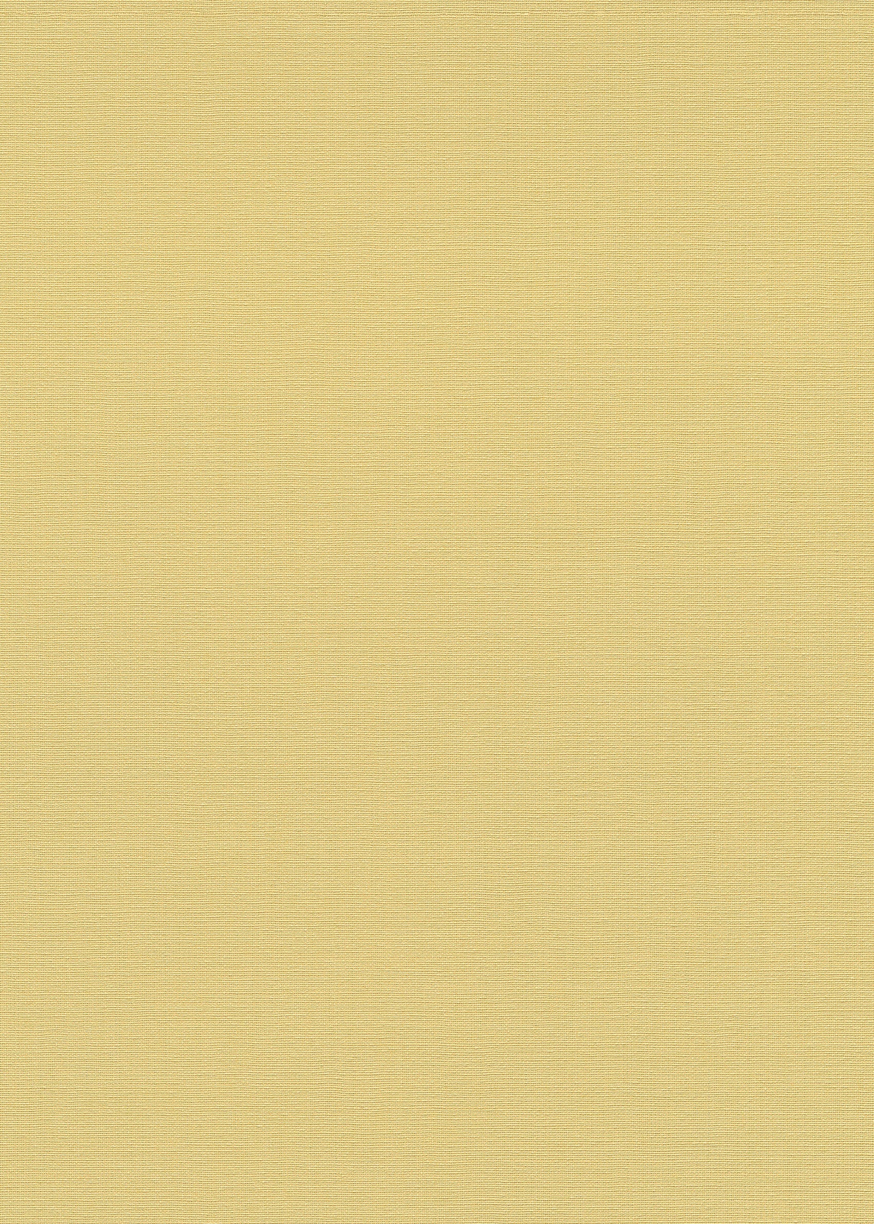 Geel Uni - ER03-0262 - Image1 - La Terasse - 1026203