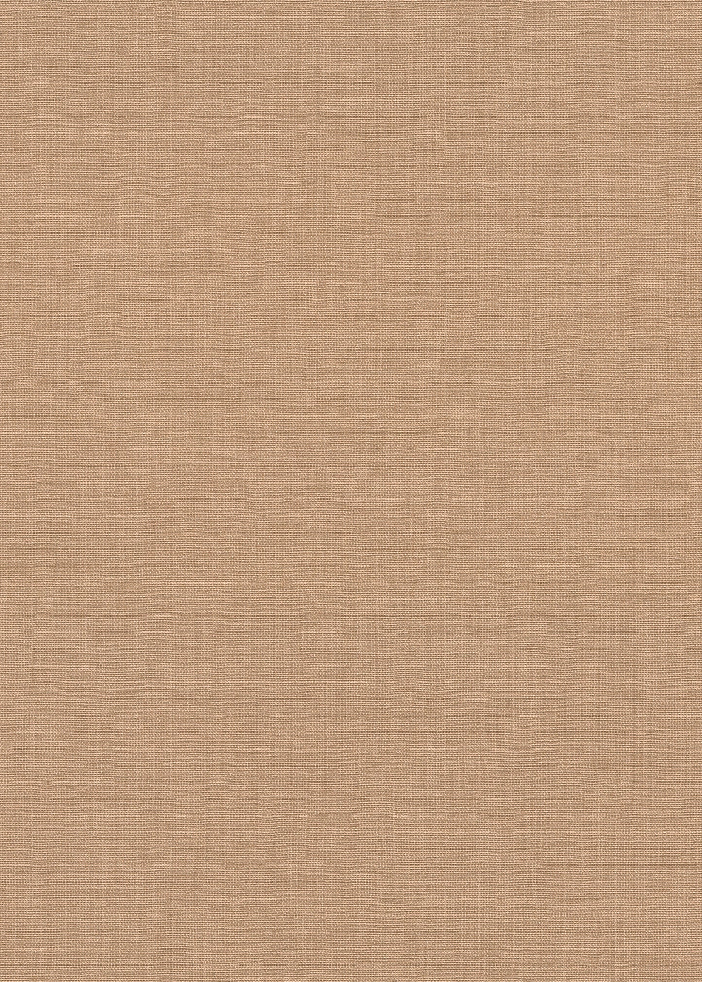 Beige Uni - ER06-0262 - Image1 - La Terasse - 1026206