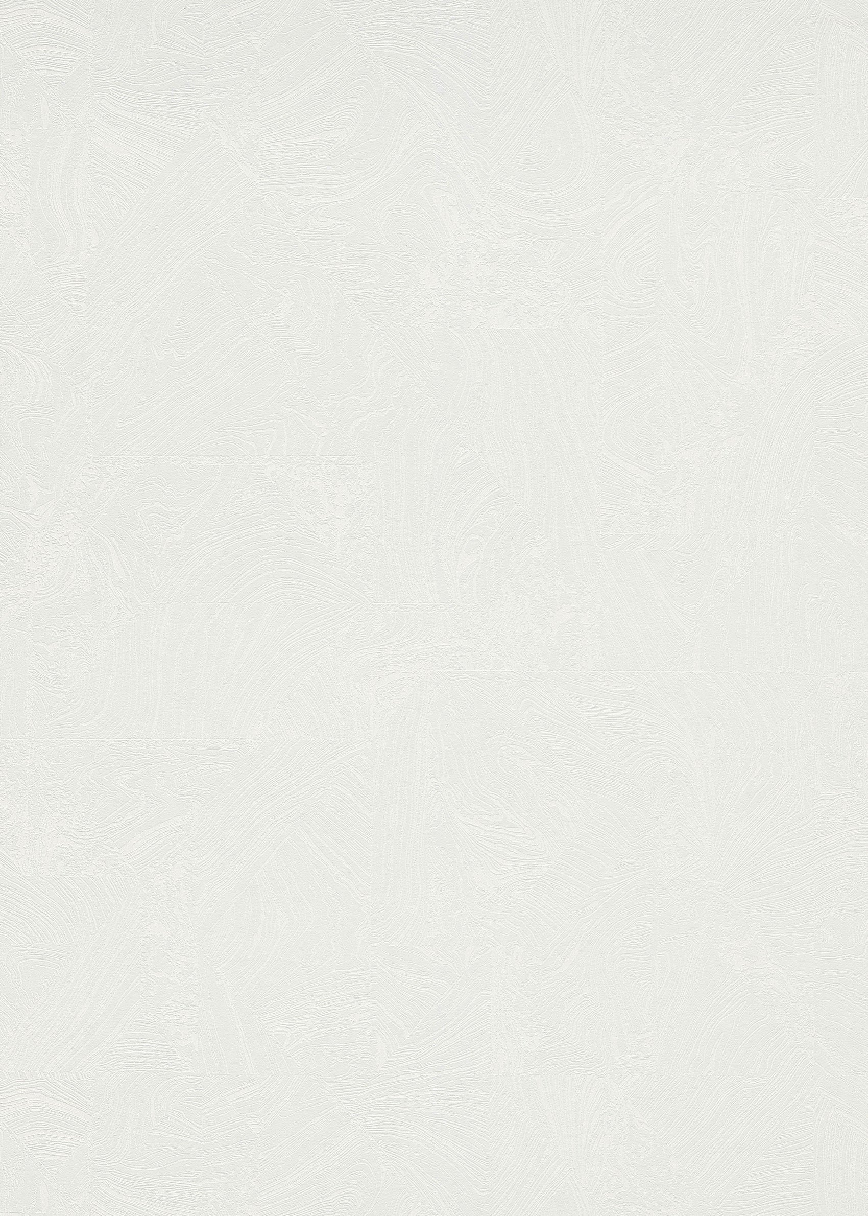 Wit Abstract - ER31-0358 - Image1 - 4 Earth - 1035831
