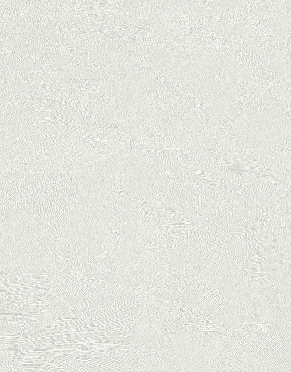 Wit Abstract - ER31-0358 - Image4 - 4 Earth - 1035831
