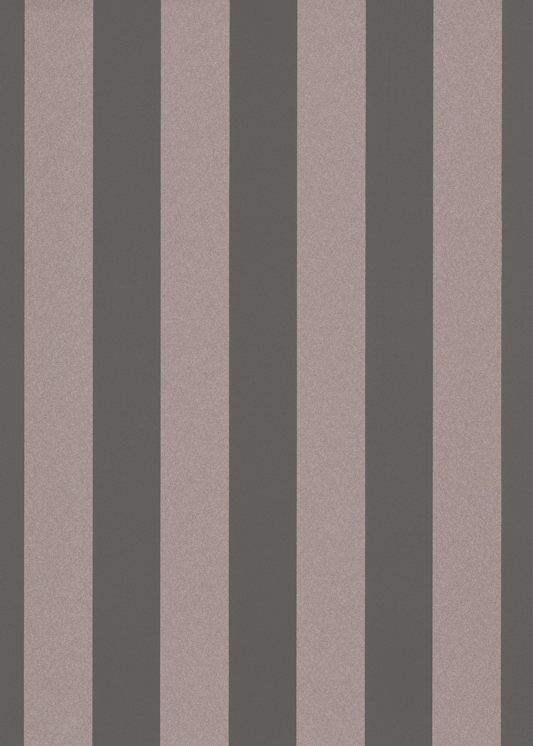 bruin Strepen - ER48-0361 - Image1 - 4 Earth - 1036148