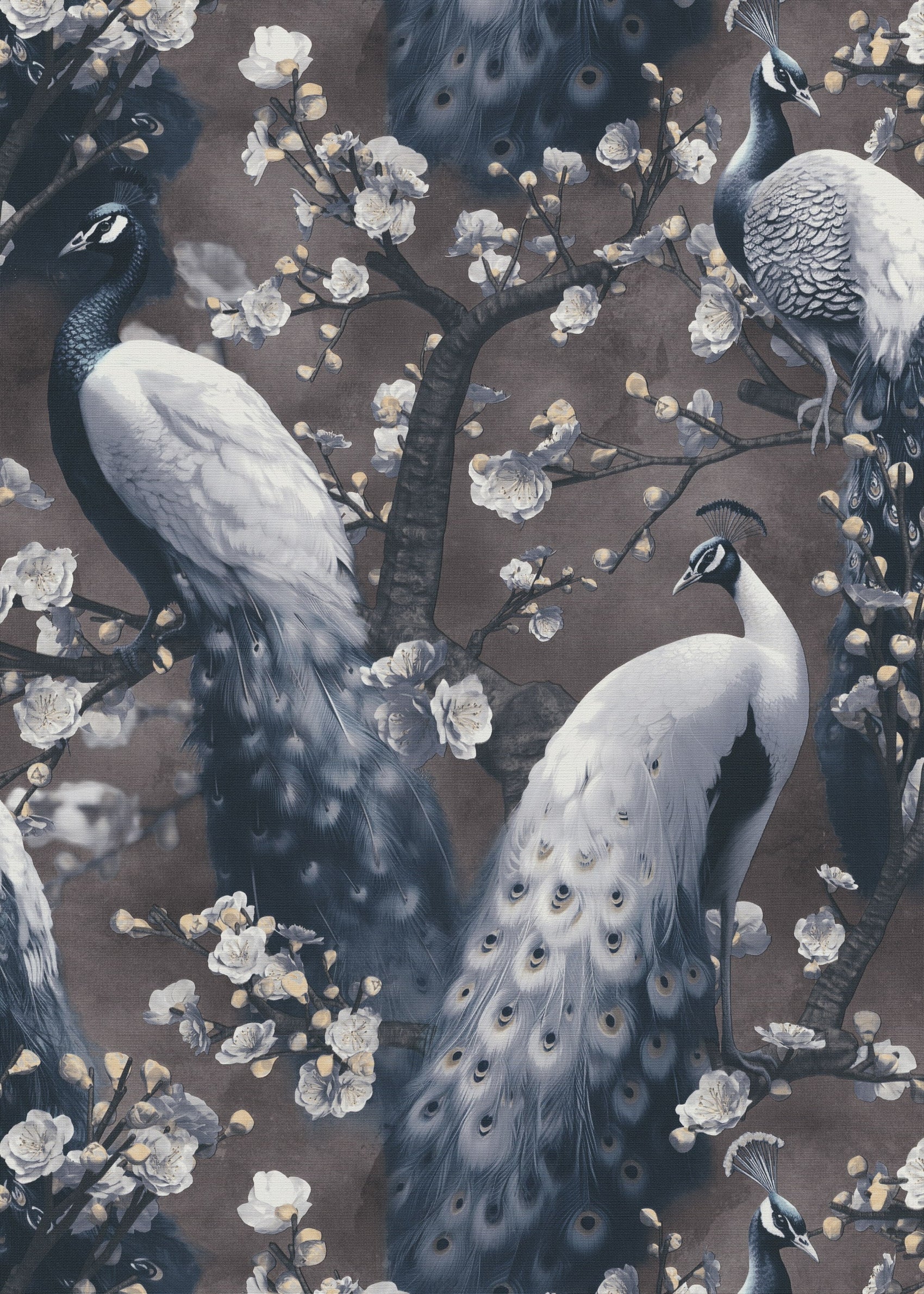 bruin Hotel Chique - ER15-0414 - Image1 - Play of Light - 1041415