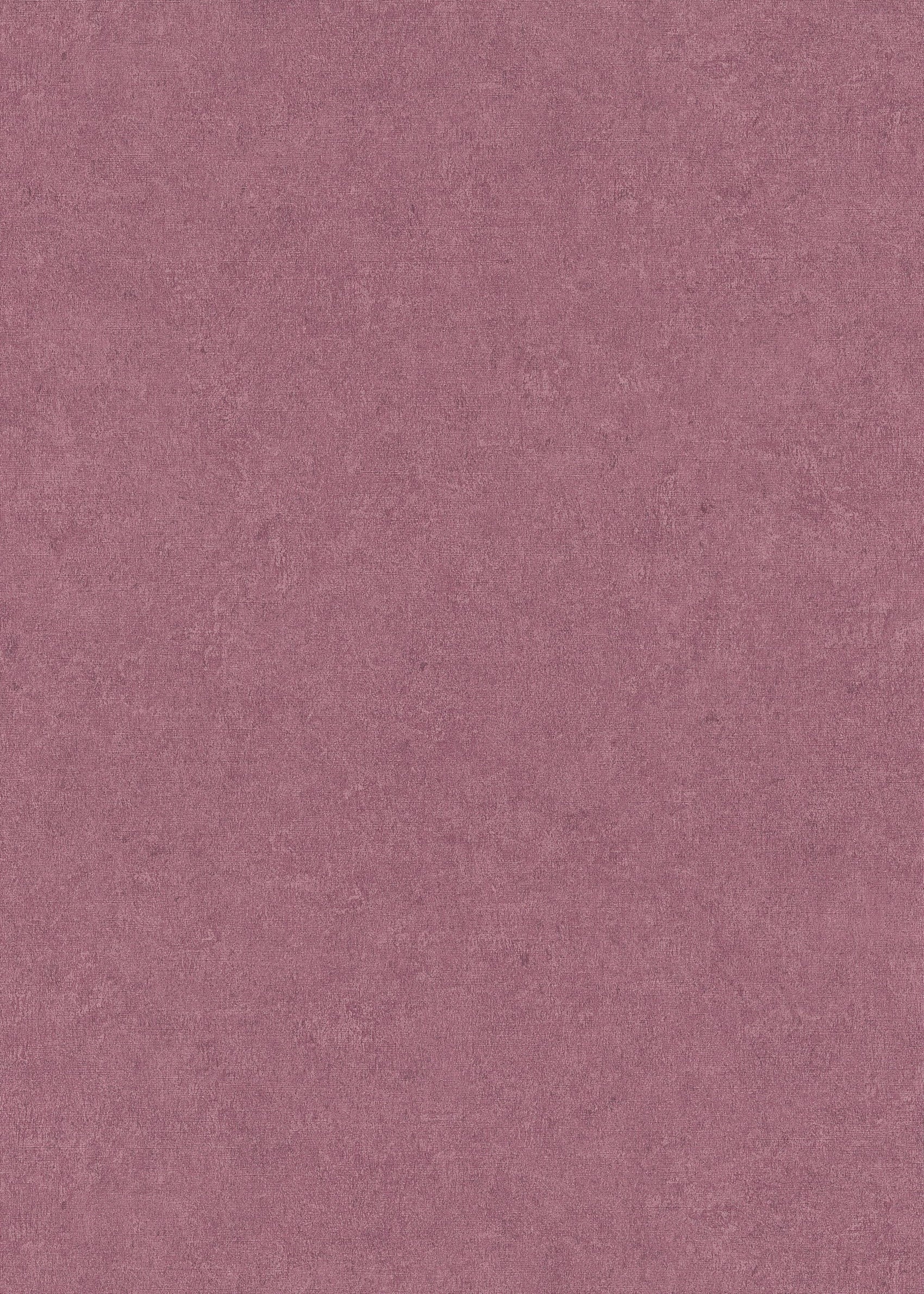 Roze Uni - ER06-0430 - Image1 - Gentle - 1043006