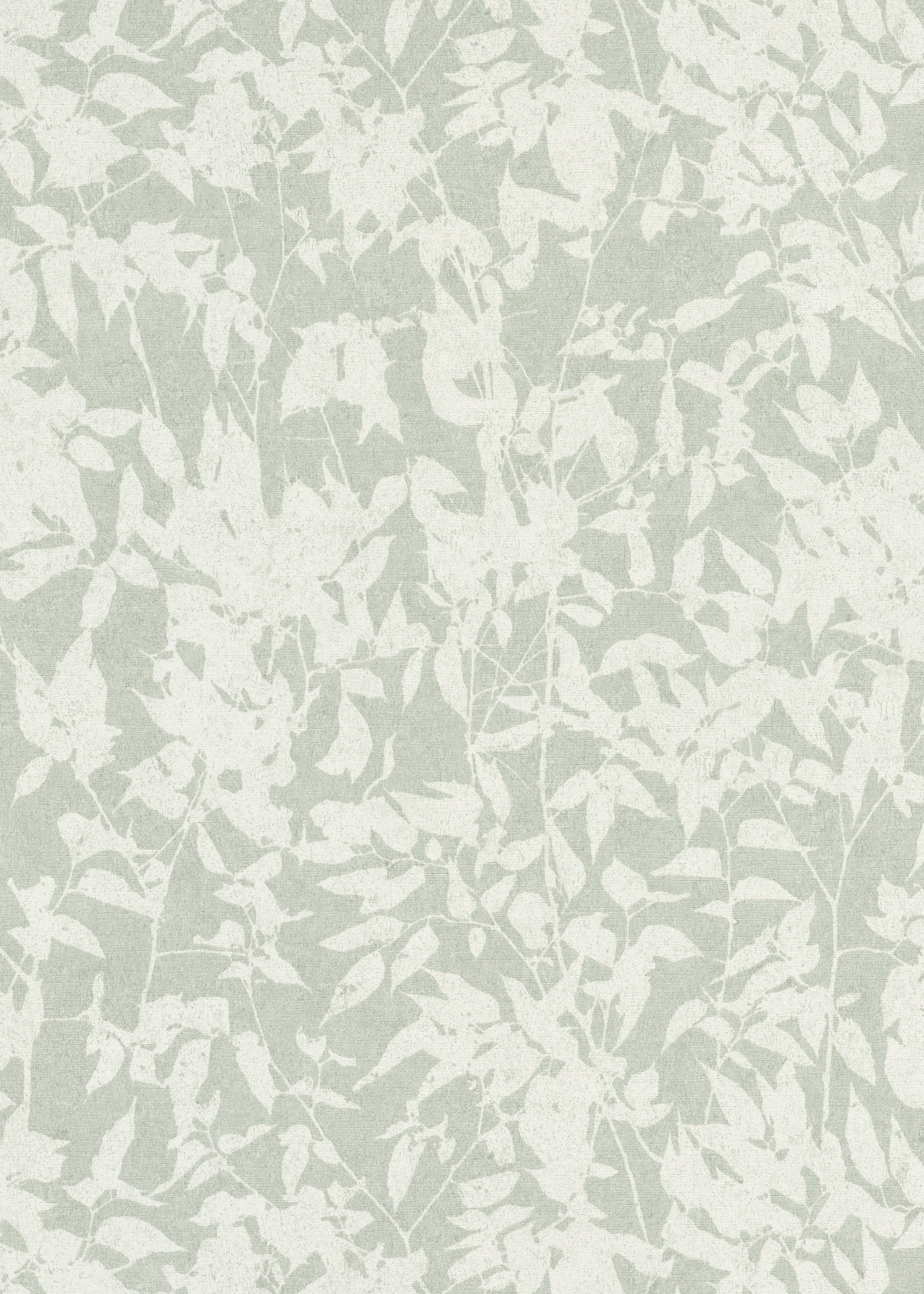 Wit Botanisch - ER07-0435 - Image1 - Gentle - 1043507