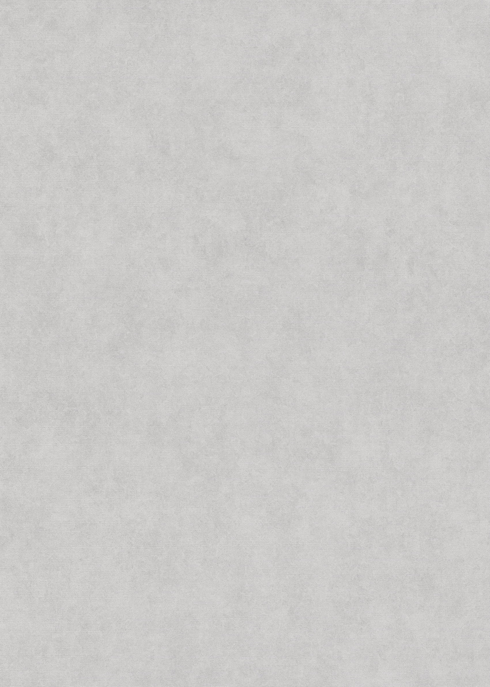 Zilver Uni - ER31-0473 - Image1 - Elysium - 1047331