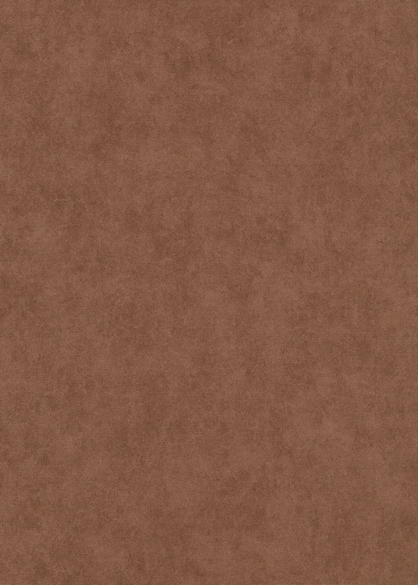 Bruin Uni - ER48-0473 - Image1 - Elysium - 1047348