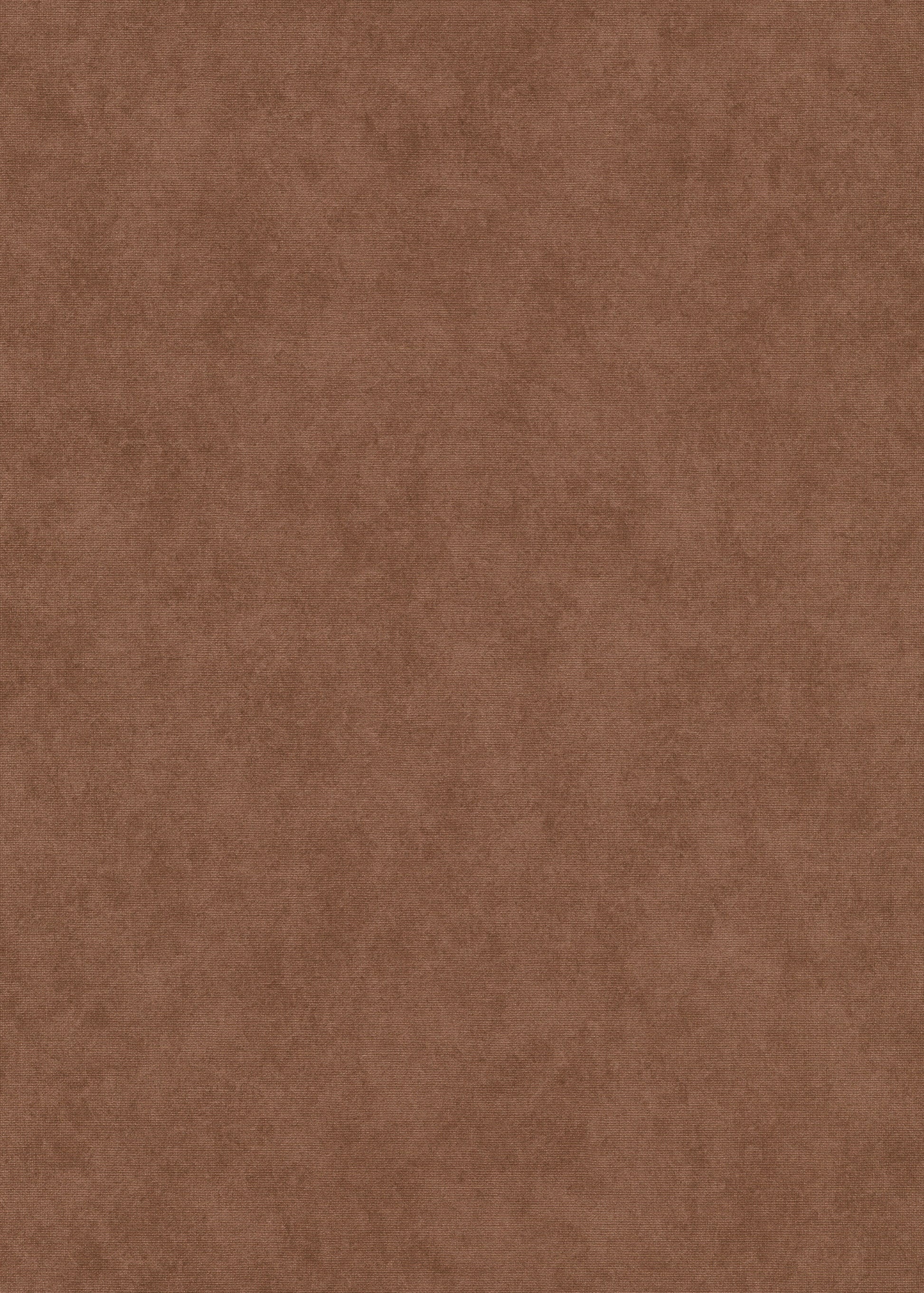 Bruin Uni - ER48-0473 - Image1 - Elysium - 1047348