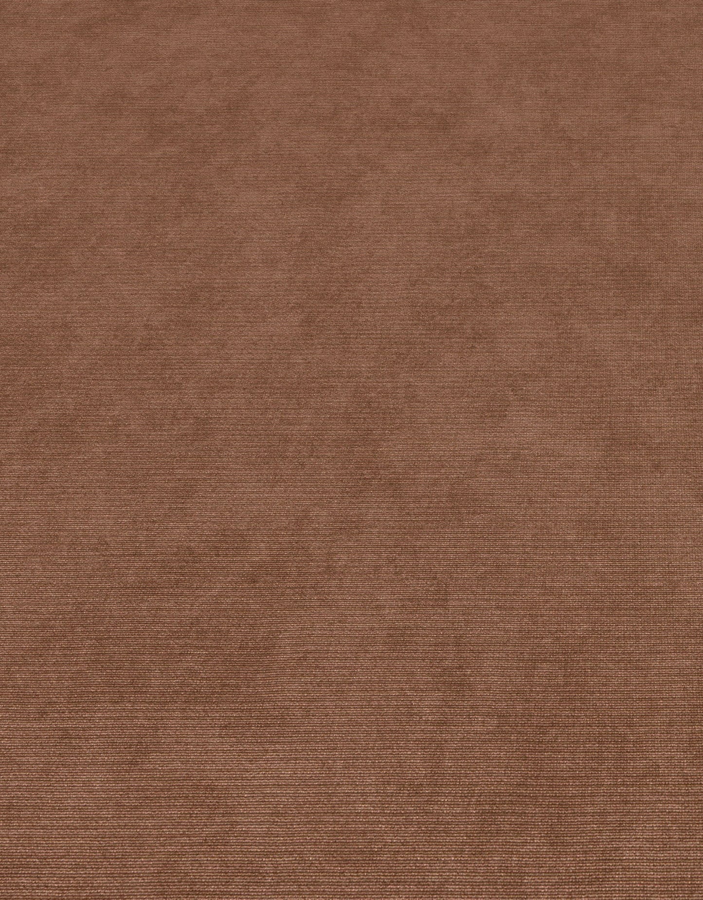 Bruin Uni - ER48-0473 - Image4 - Elysium - 1047348