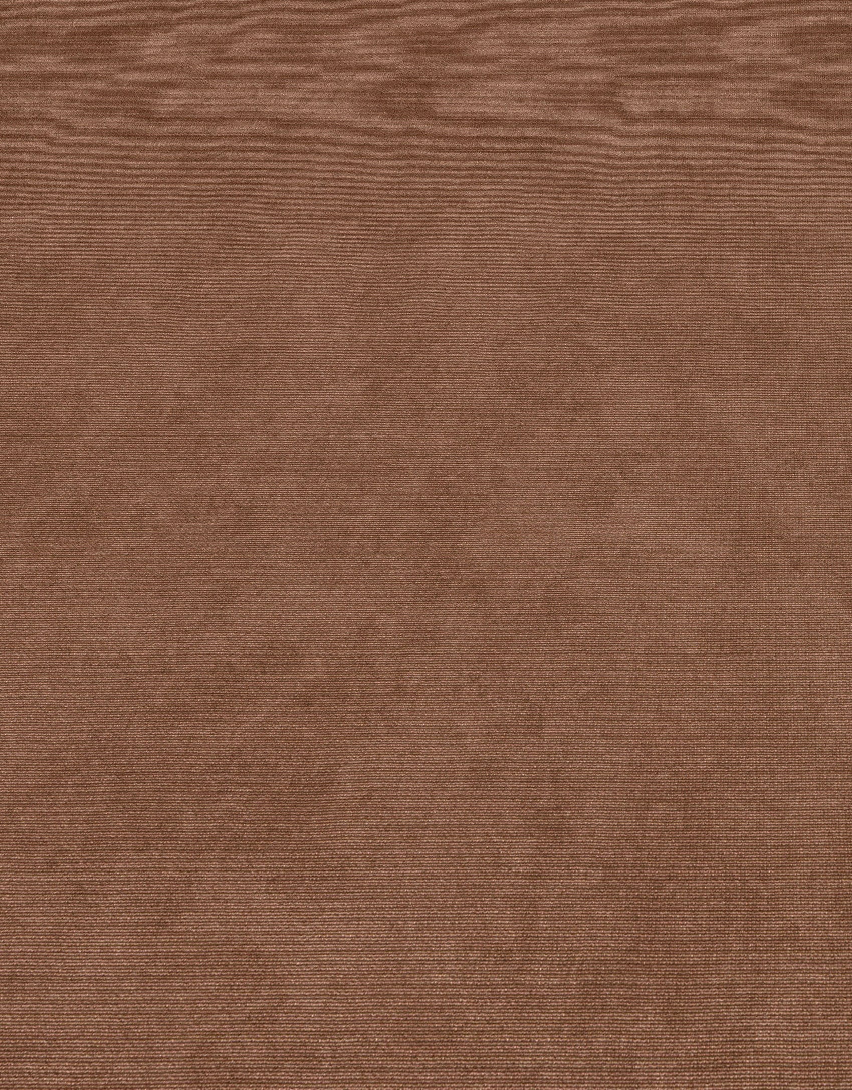 Bruin Uni - ER48-0473 - Image4 - Elysium - 1047348