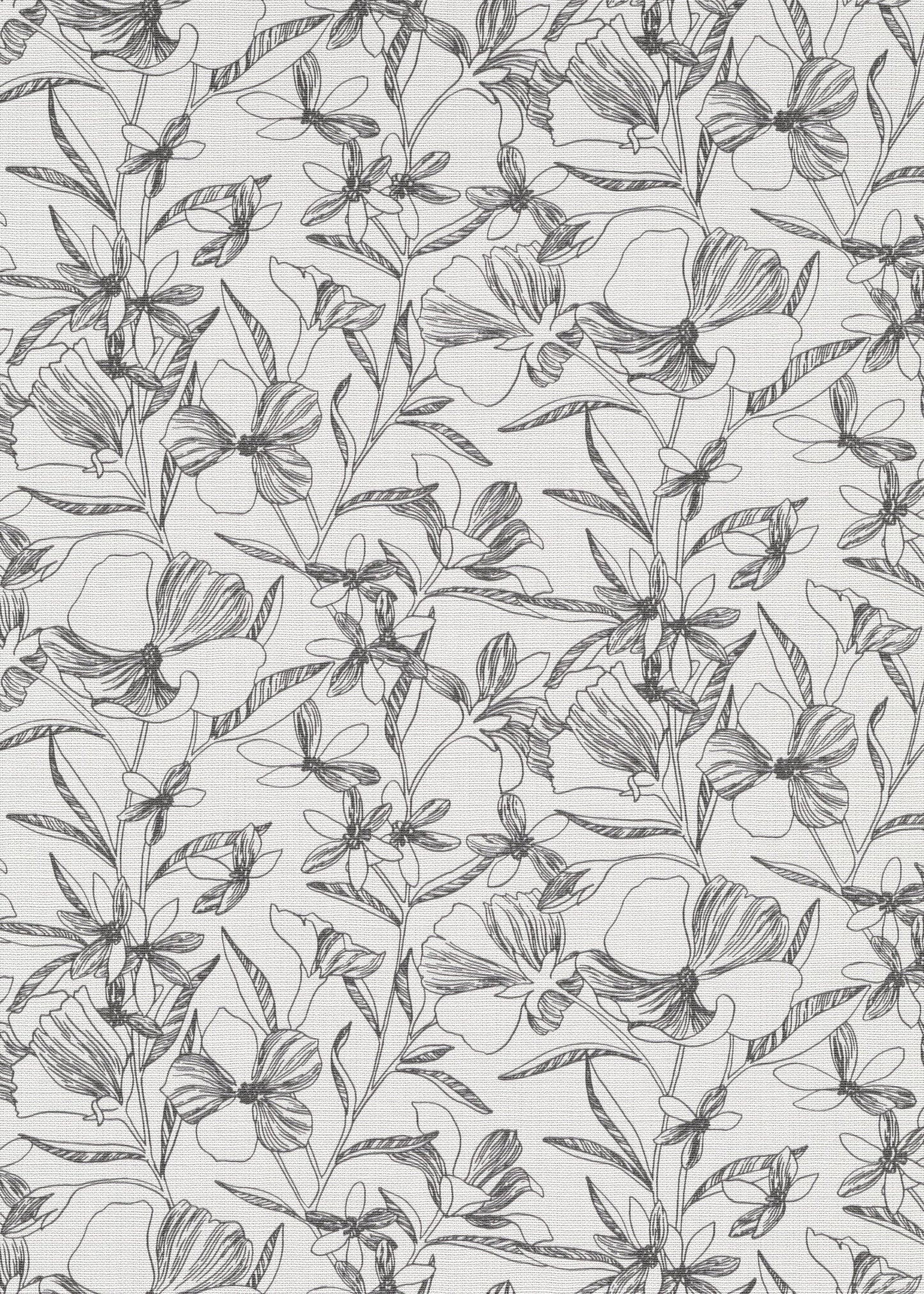 Wit Botanisch - ER15-0519 - Image1 - La Terasse - 1051915