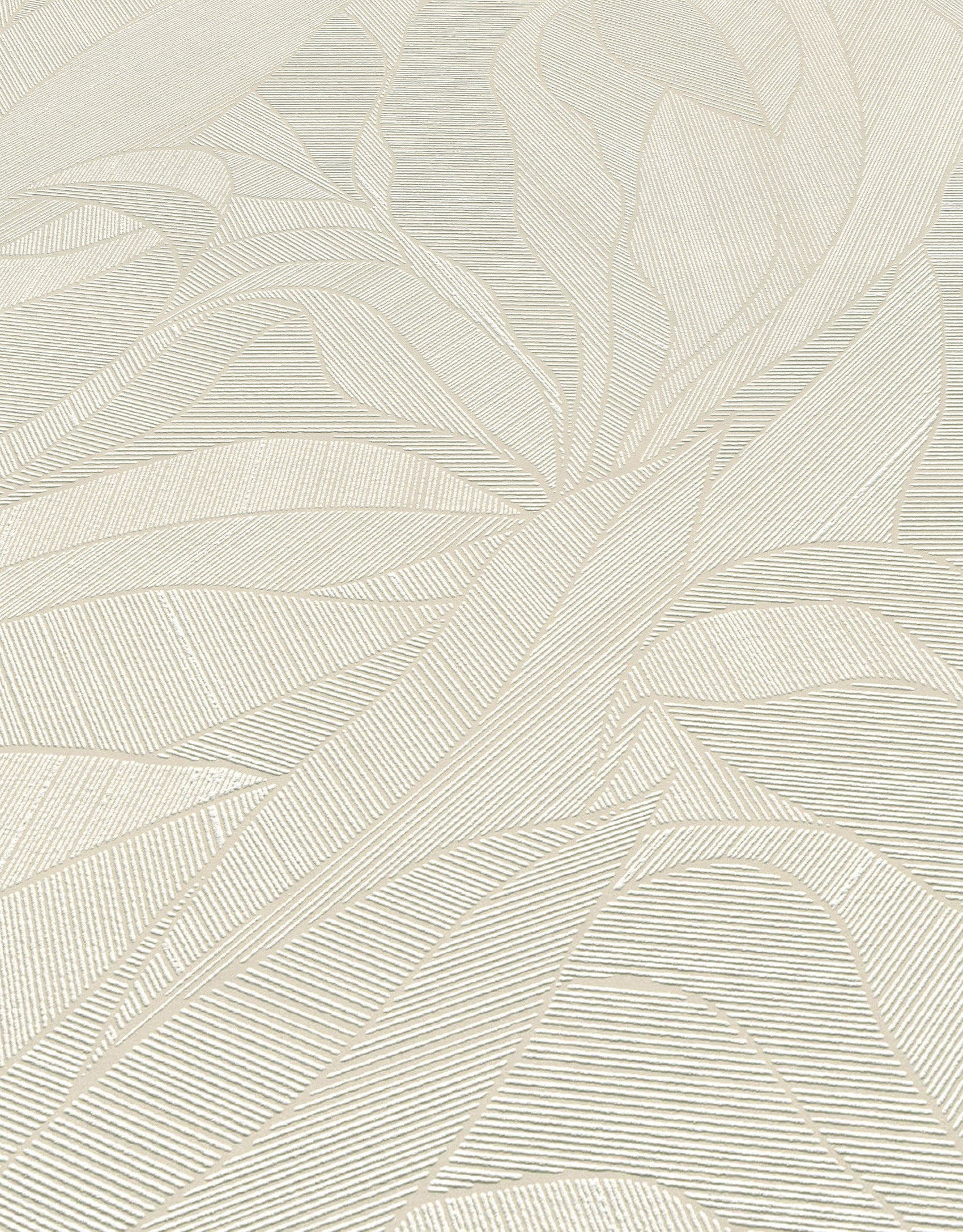 Wit Abstract - ER02-0530 - Image4 - Cameo - 1053002