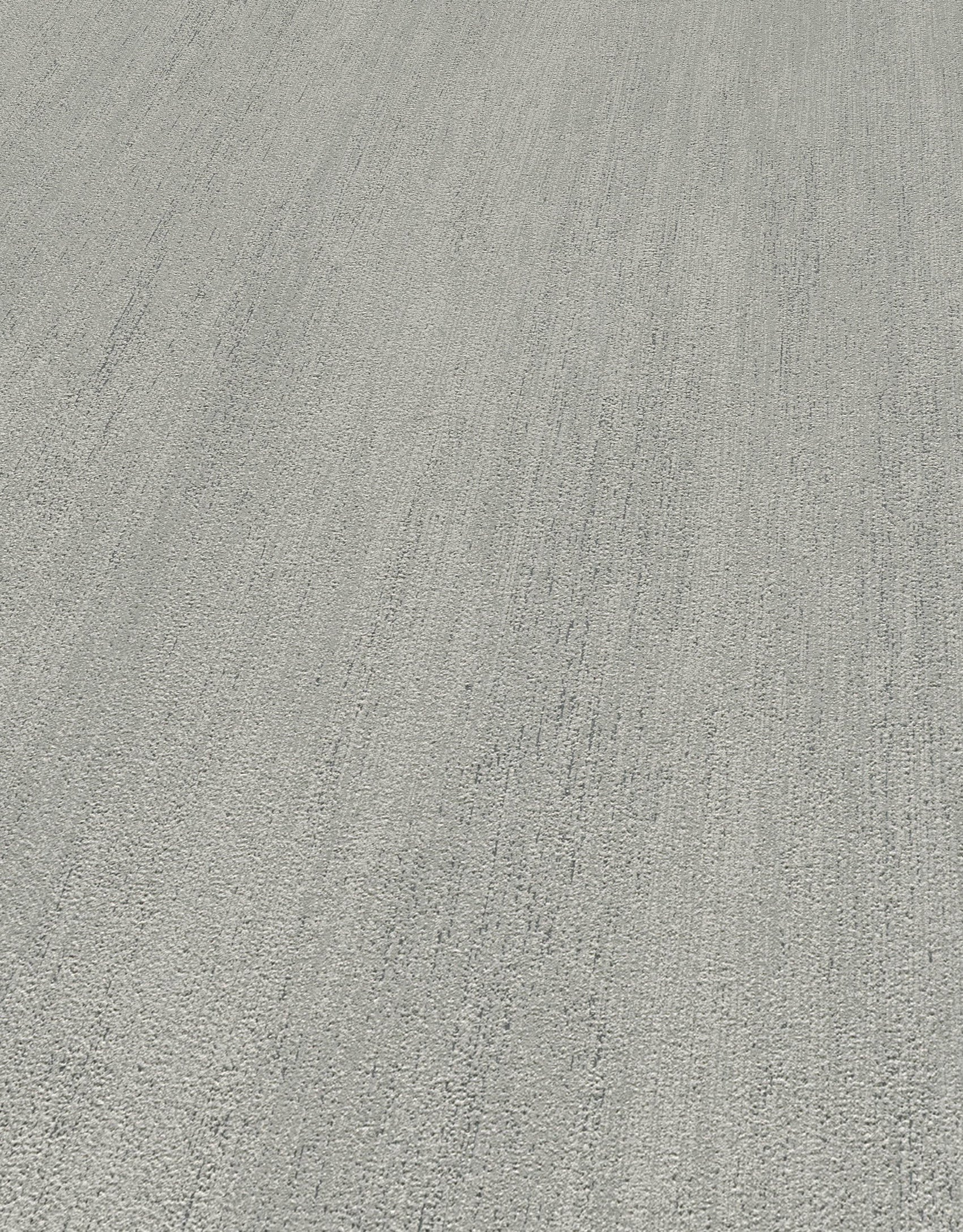 Zilver Strepen - ER37-0534 - Image4 - Cameo - 1053437