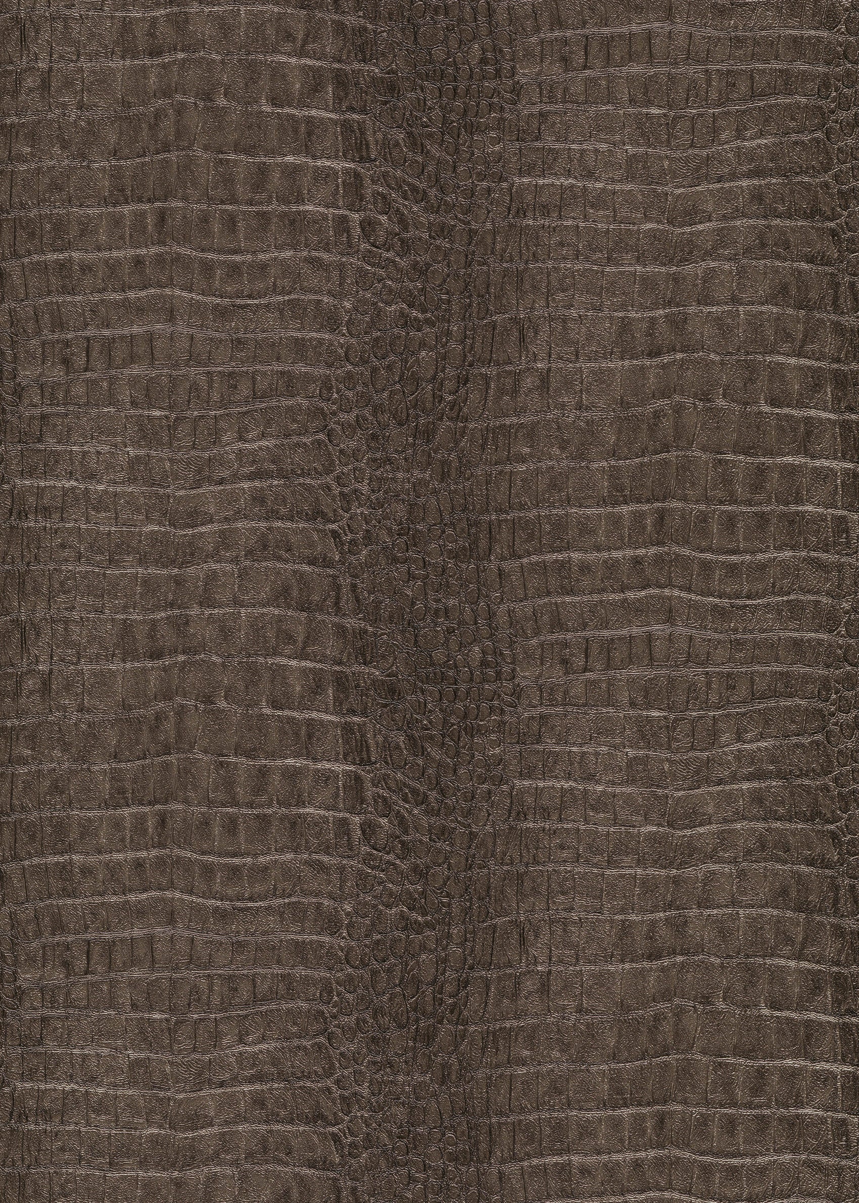 Bruin Dieren - ER11-0560 - Image1 - Forest Dreams - 1056011