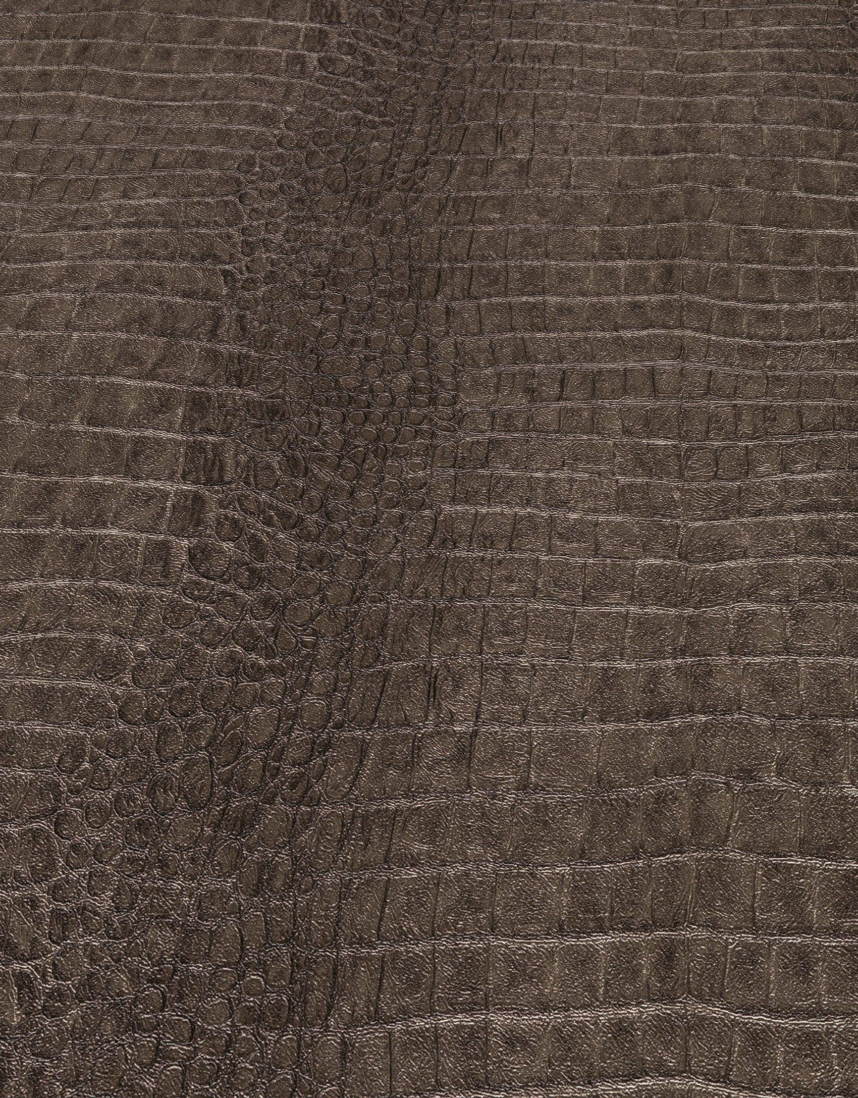 Bruin Dieren - ER11-0560 - Image4 - Forest Dreams - 1056011