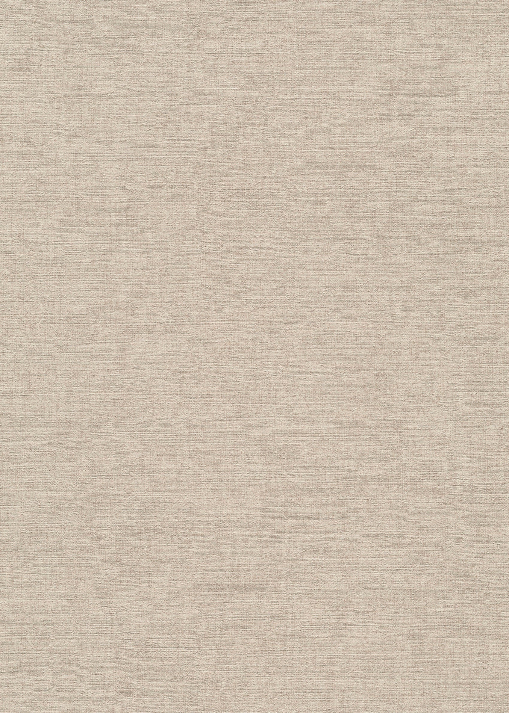 Beige Uni - ER02-0563 - Image1 - Forest Dreams - 1056302