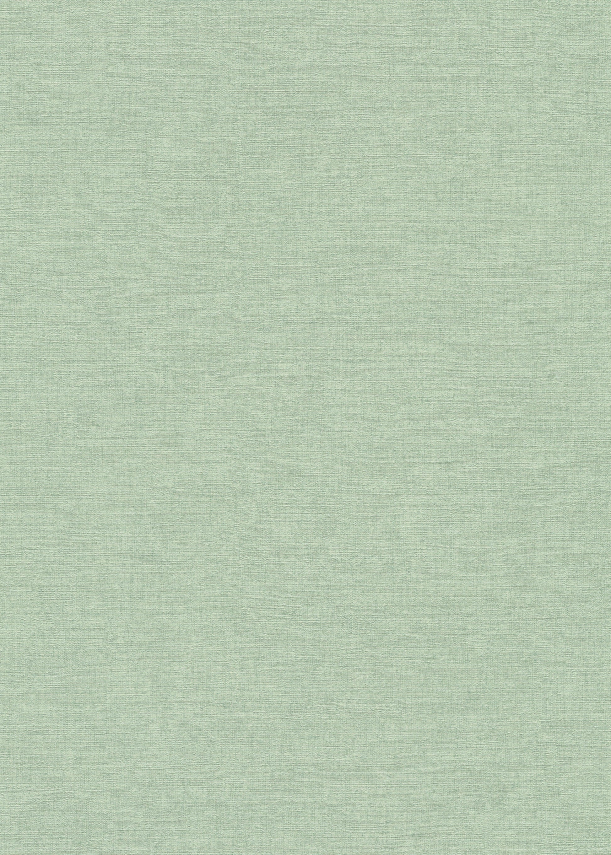 Groen Uni - ER07-0563 - Image1 - Forest Dreams - 1056307