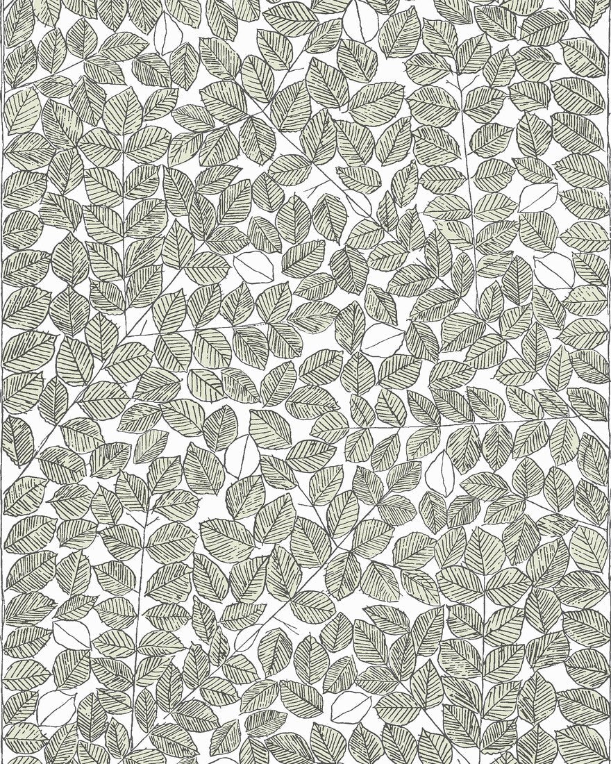 Groen Botanisch - BS69-0117 - Image6 - Scandinavian Designers - 1769