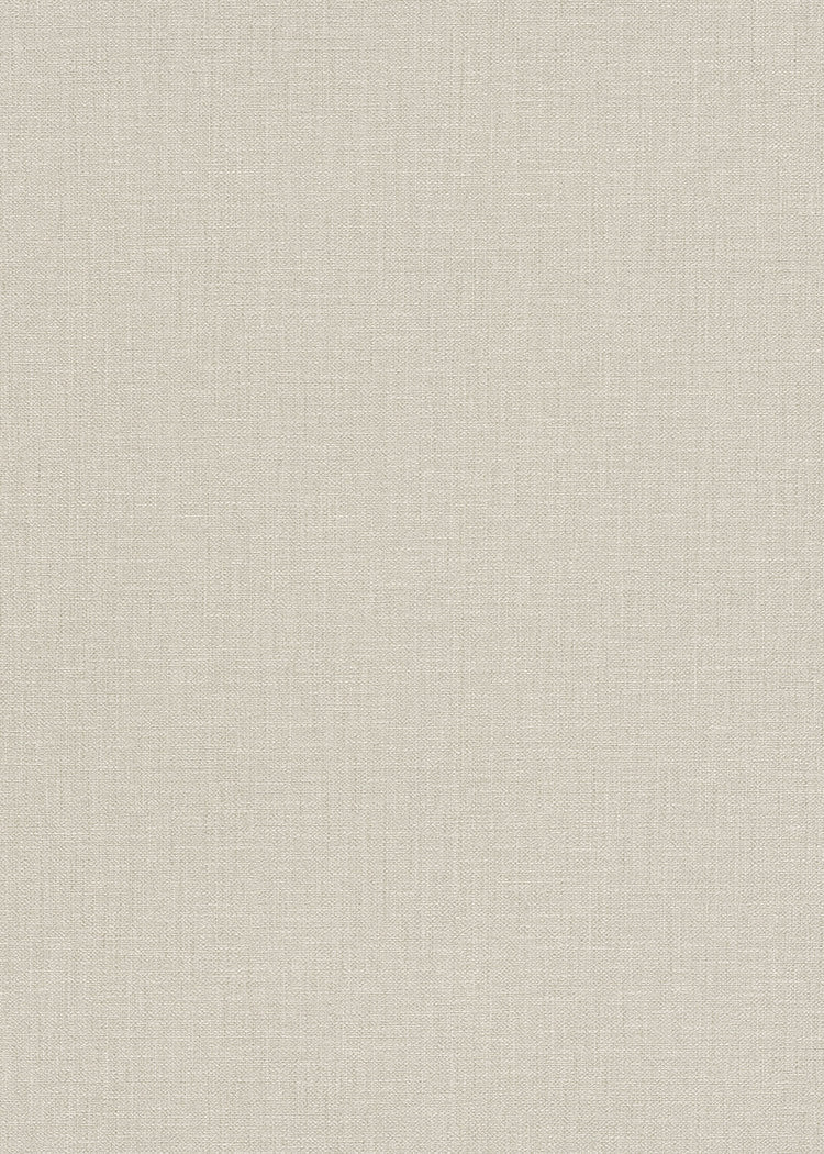 Beige Uni - ER02-0450 - Image1 - Coulours & Textures - 27133