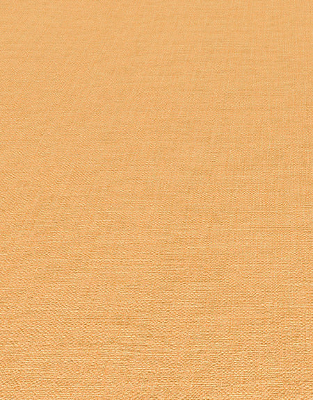 Oranje Uni - ER04-0450 - Image5 - Coulours & Textures - 27135