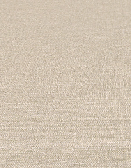 Beige Uni - ER26-0450 - Image5 - Coulours & Textures - 27144