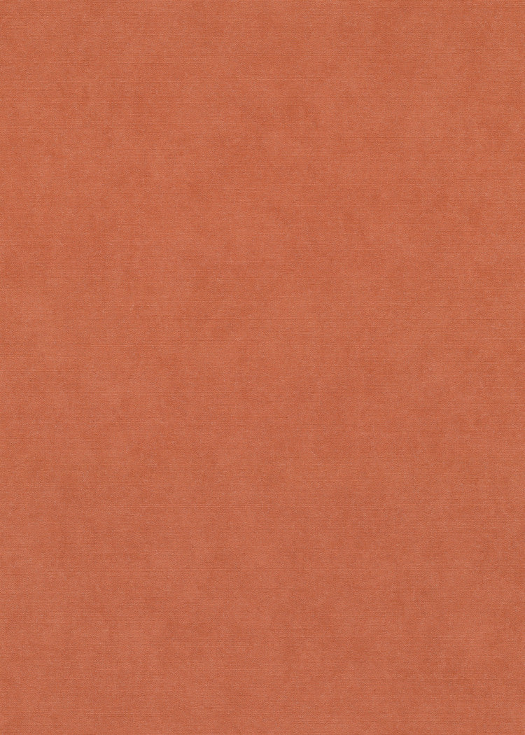 Terracotta Uni - ER04-0473 - Image1 - Coulours & Textures - 27151