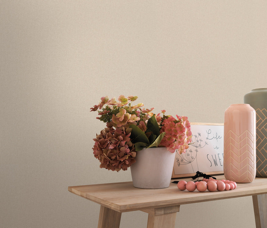 Beige Uni - ER02-0475 - Image2 - Coulours & Textures - 27167