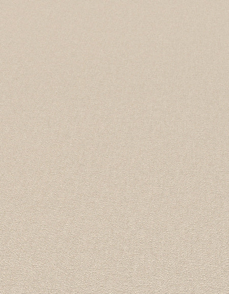 Beige Uni - ER02-0475 - Image4 - Coulours & Textures - 27167