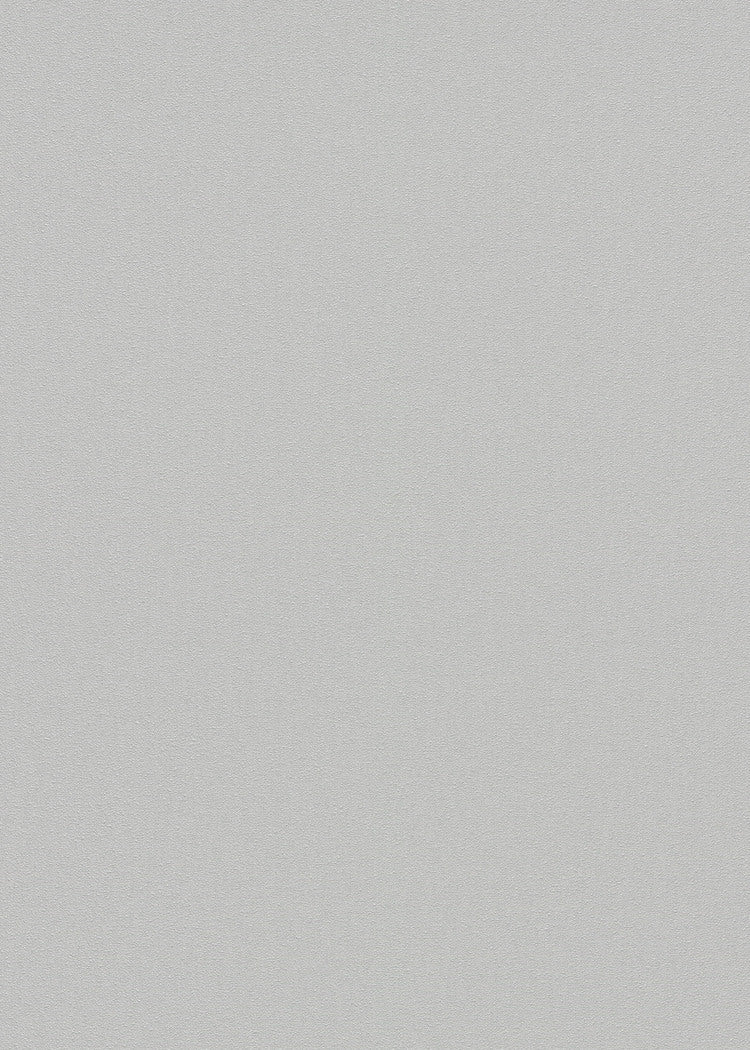 Zilver Uni - ER10-0475 - Image1 - Coulours & Textures - 27169