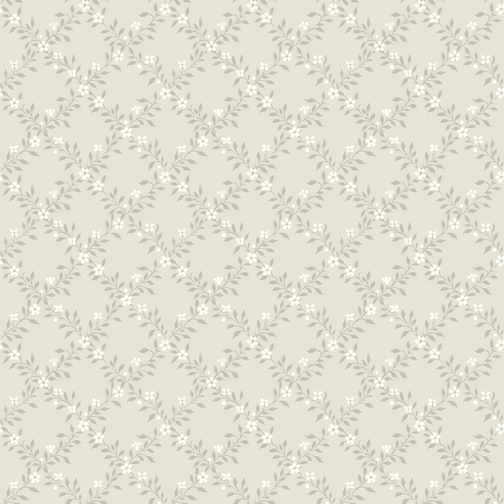 Grijs Klassiek - BS70-0132 - Image1 - Timeless Traditions - 3270