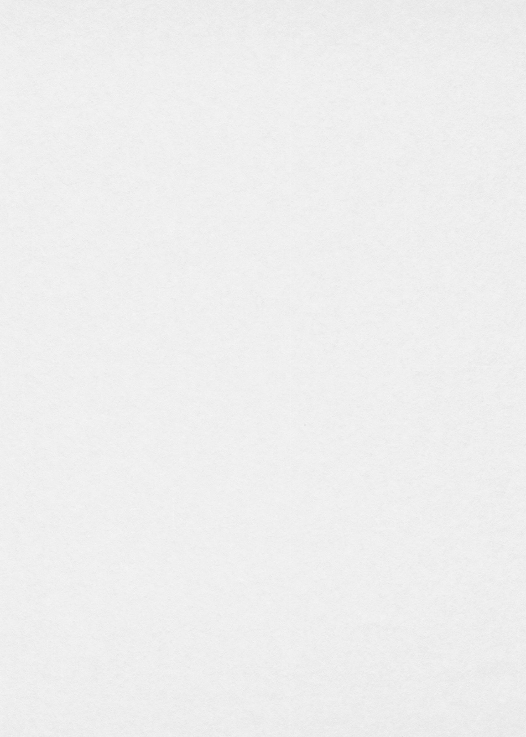 wit Overschilderbaar - ER01-333 - Image1 - RollOver27 - 33301