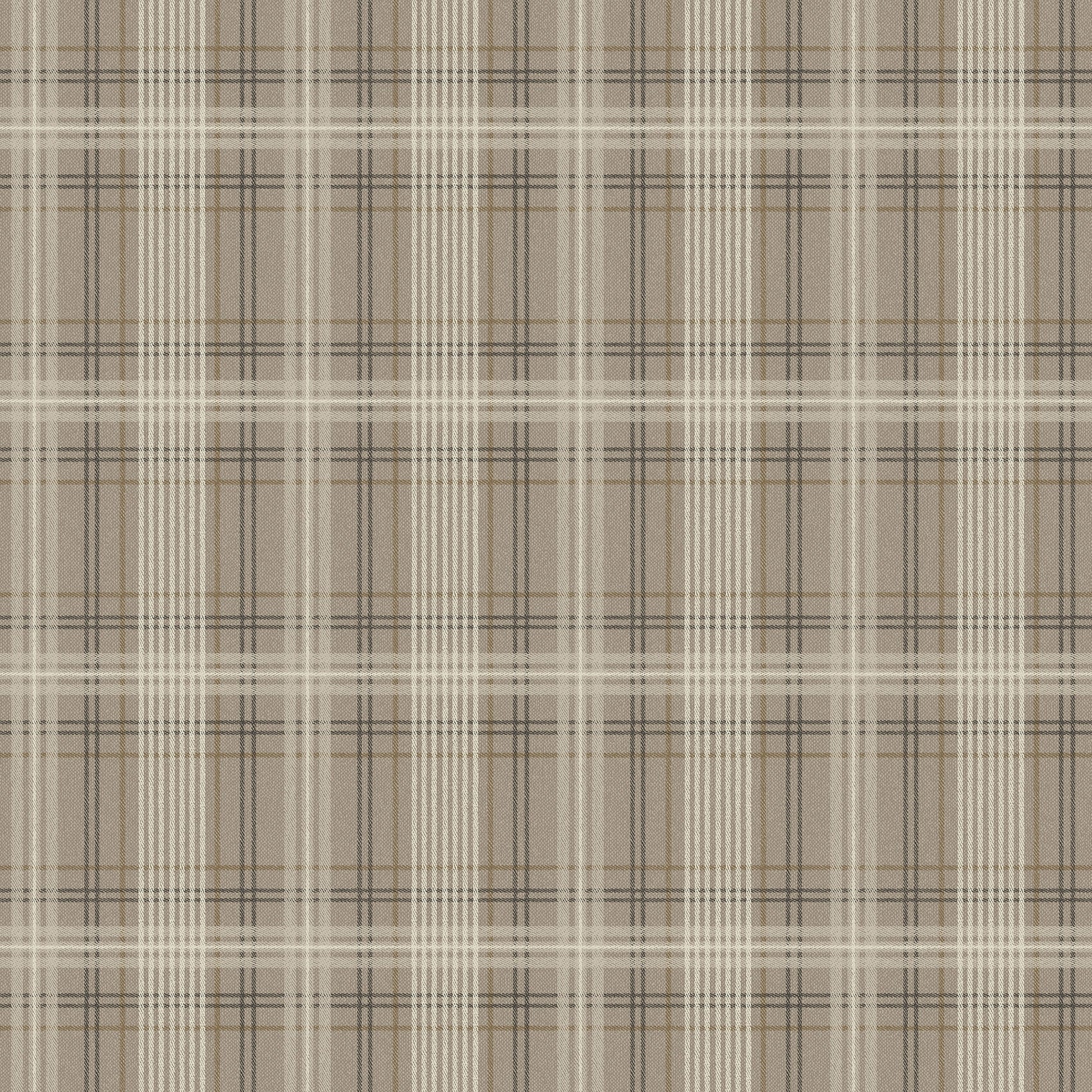 Taupe Klassiek - BS79-0135 - Image1 - Cottage garden - 3579