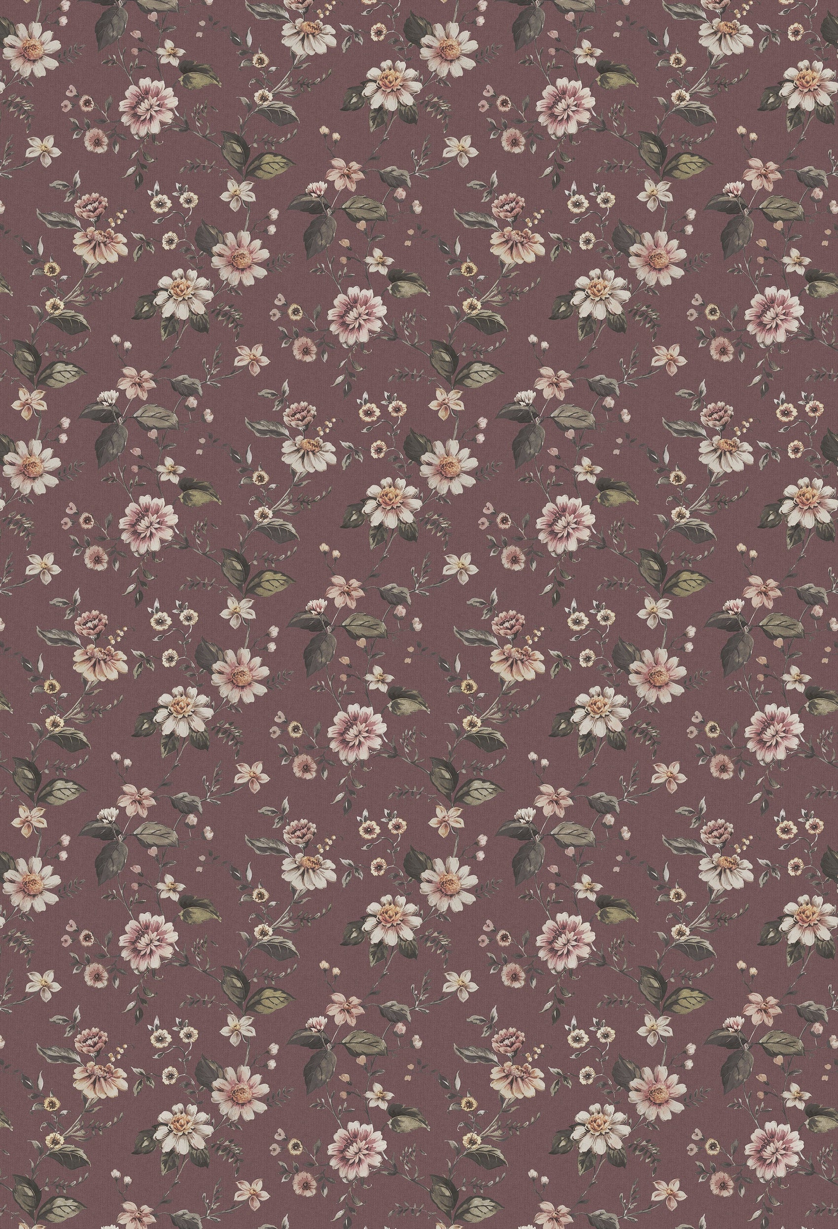 Paars Bloemen - BS91-0135 - Image1 - Cottage garden - 3591