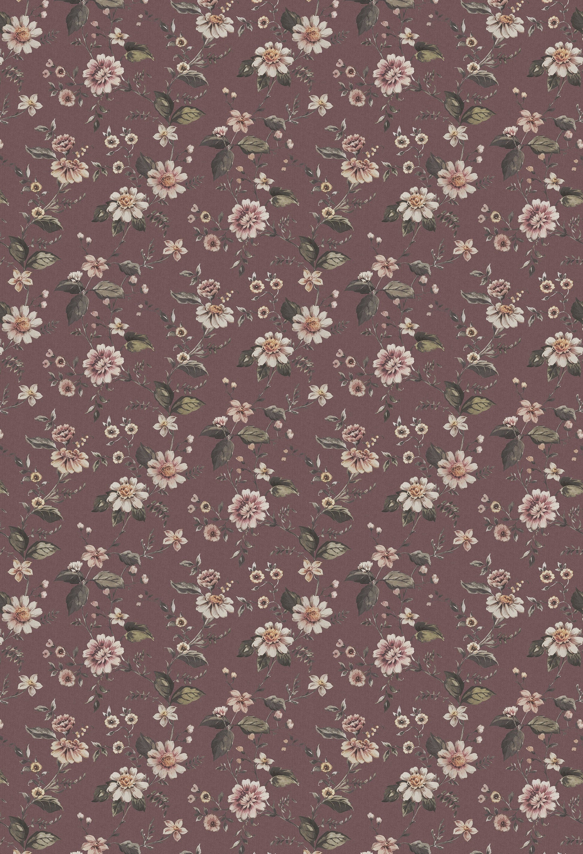 Paars Bloemen - BS91-0135 - Image1 - Cottage garden - 3591