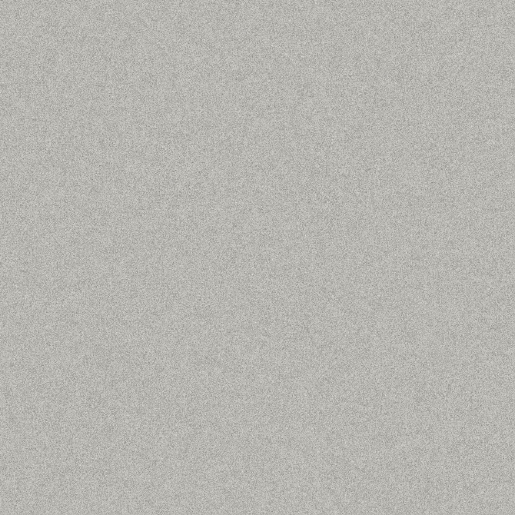 Zilver Uni - BS04-2387 - Image1 - Borosan Bas - 38704