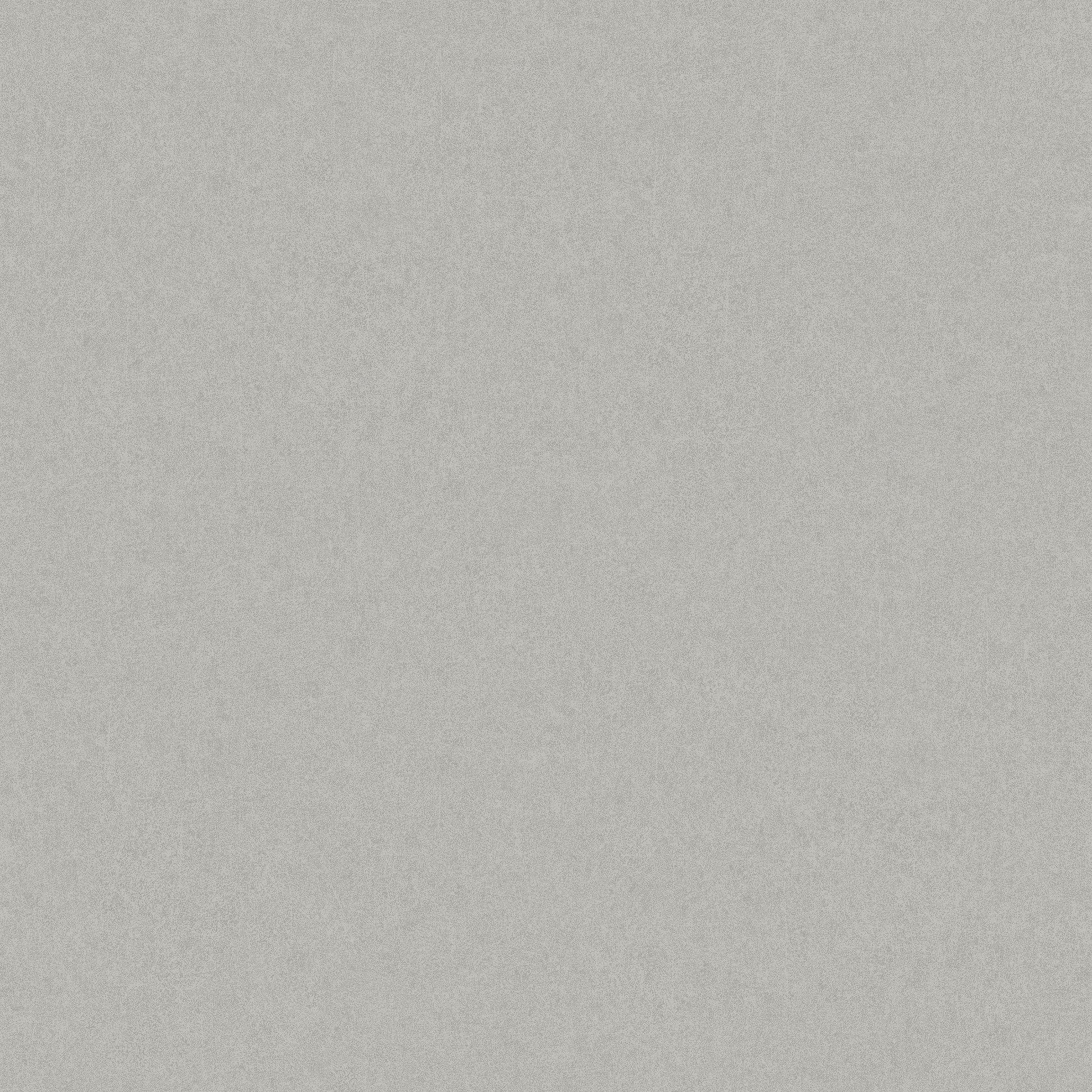 Zilver Uni - BS04-2387 - Image1 - Borosan Bas - 38704