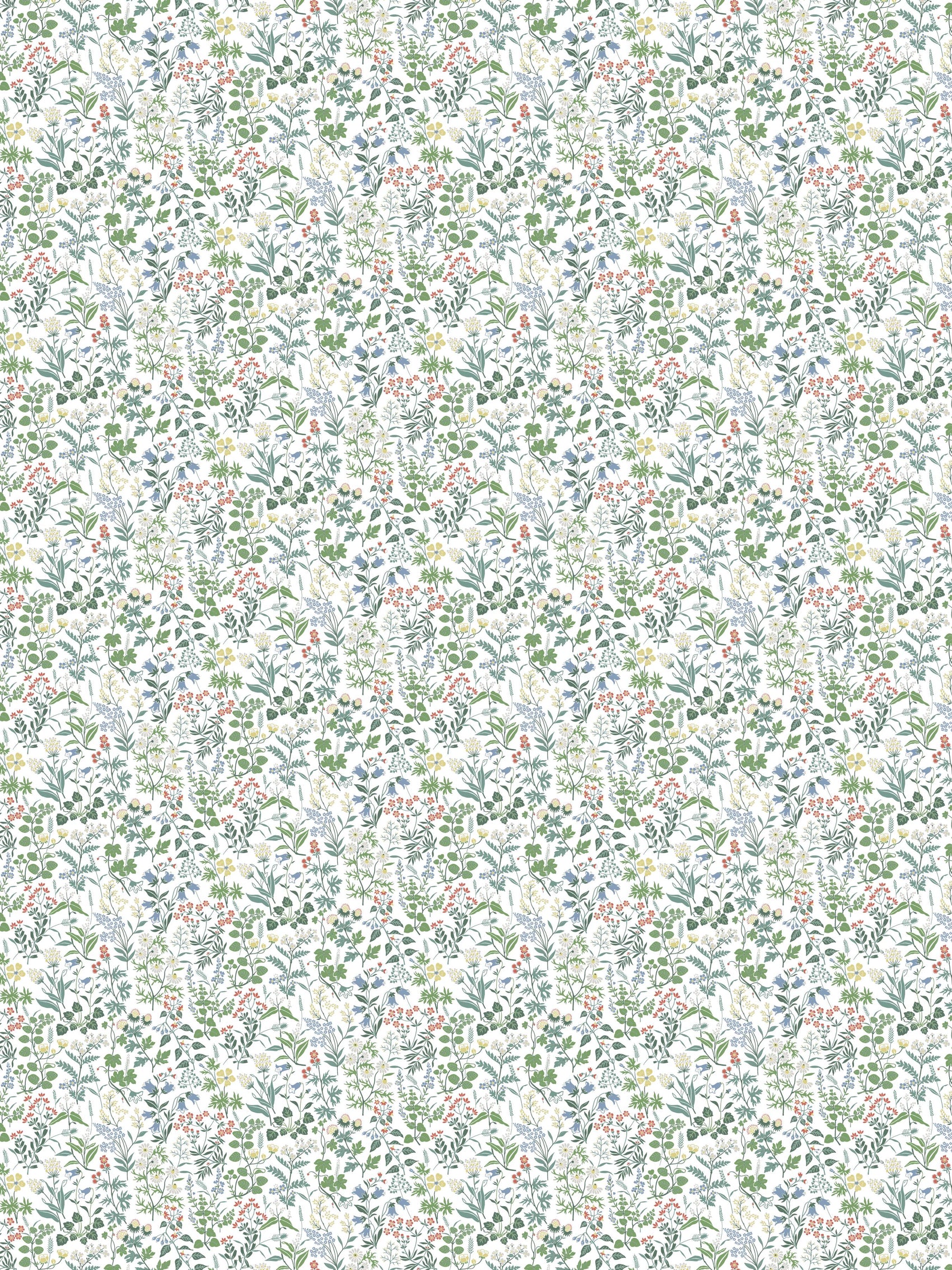 Wit Botanisch - BS80-0141 - Image2 - Alla Tiders Hus / Icons - 4180