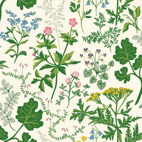 Wit Botanisch - DU01-0428 - Image1 - Linnéa - 428-01