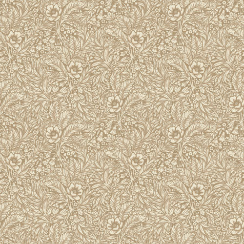 Bruin Botanisch - DU06-0430 - Image1 - Linnéa - 430-06