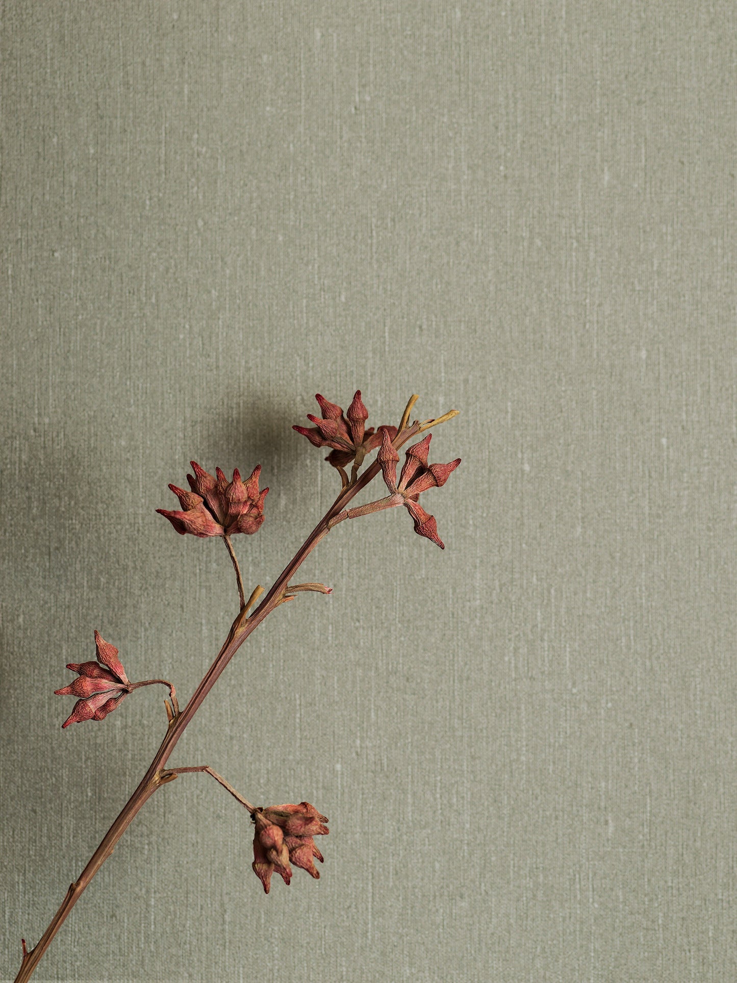 Taupe Textiel - BS35-0143 - Image7 - Linen - 4335
