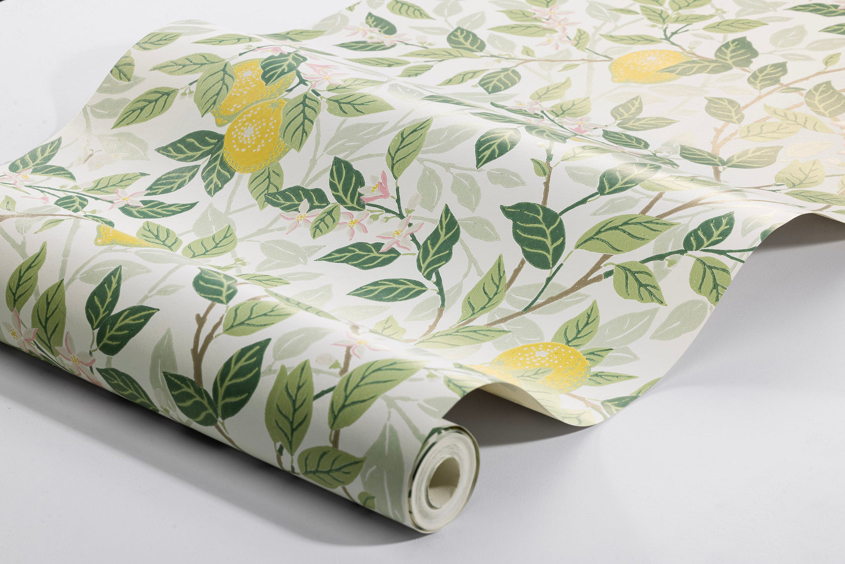 Wit Botanisch - BS02-0157 - Image5 - Orangeri - 5702
