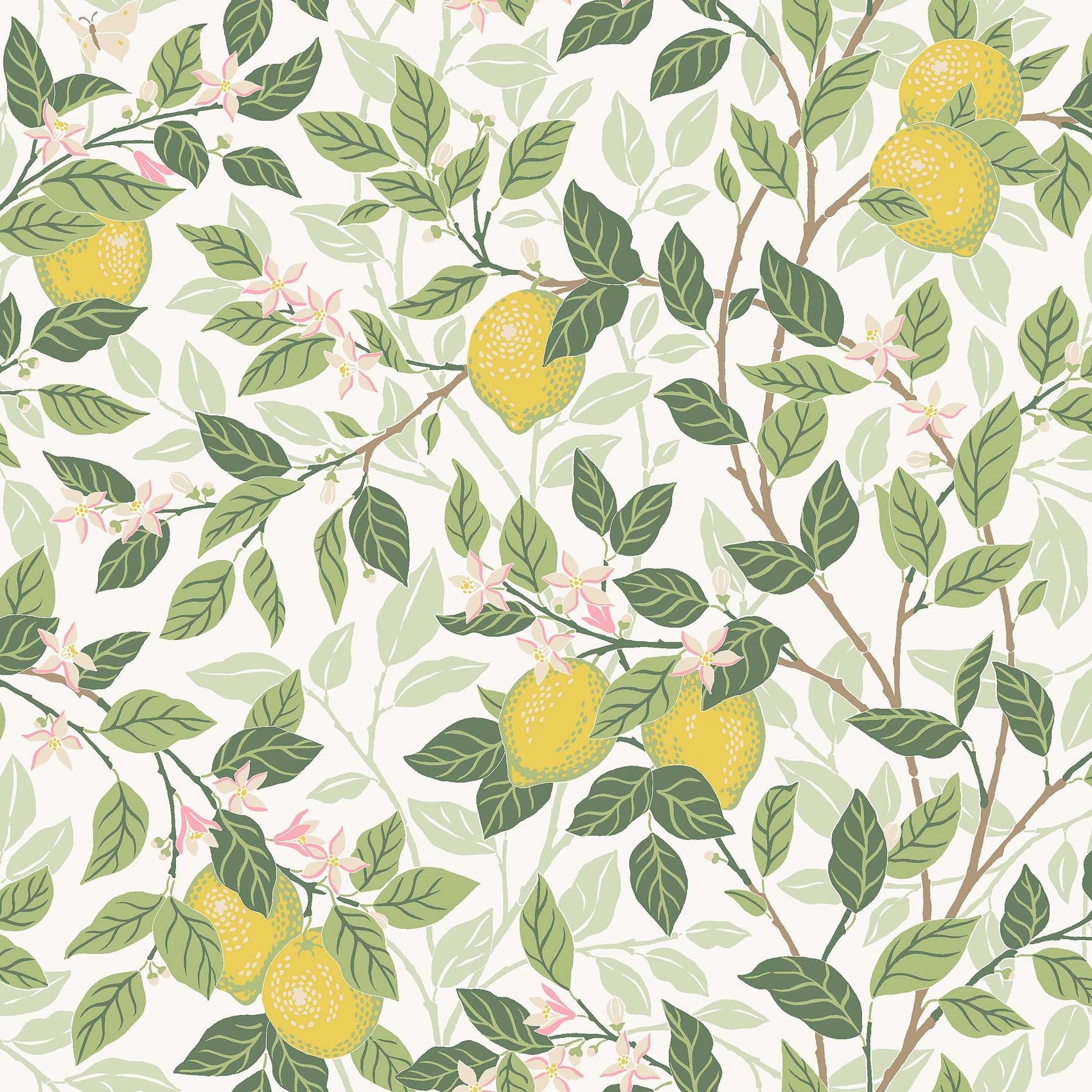 Wit Botanisch - BS02-0157 - Image1 - Orangeri - 5702