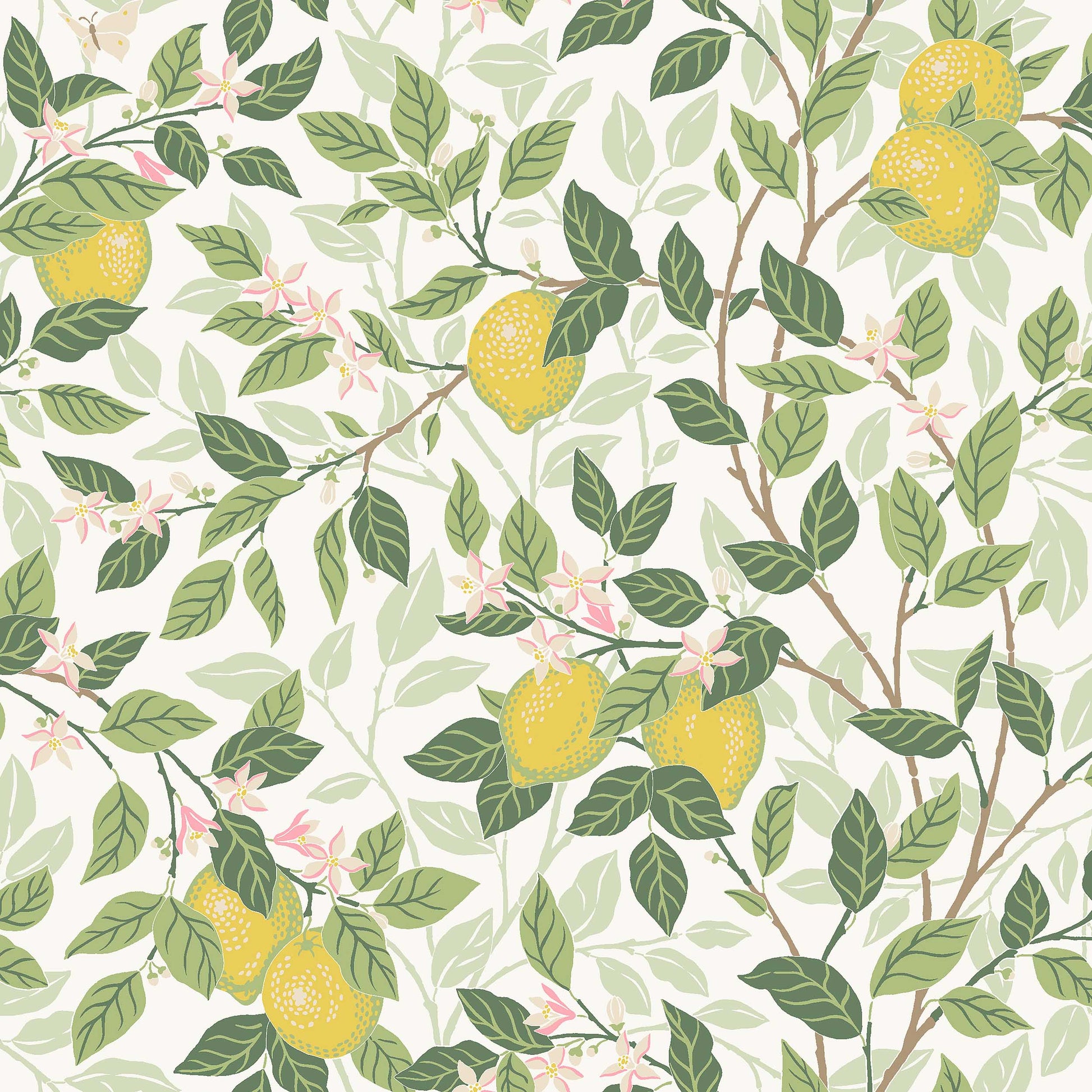 Wit Botanisch - BS02-0157 - Image1 - Orangeri - 5702