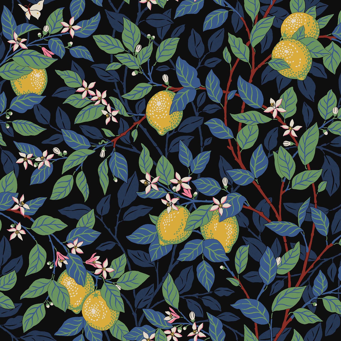 Zwart Botanisch - BS03-0157 - Image1 - Orangeri - 5703