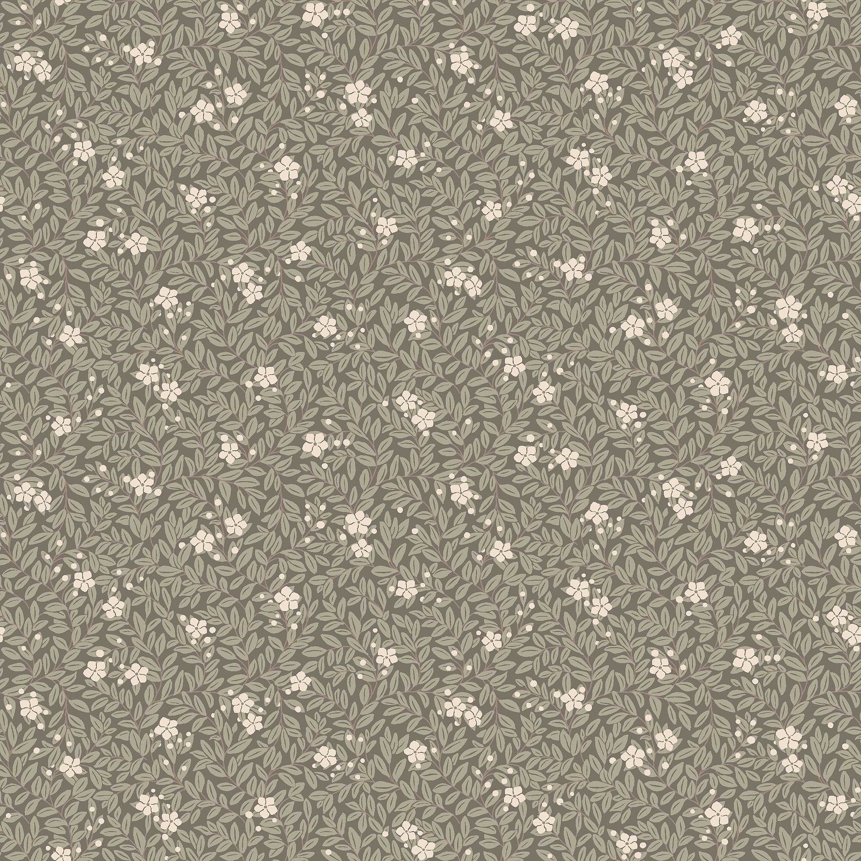 Groen Botanisch - BS15-0157 - Image1 - Orangeri - 5715