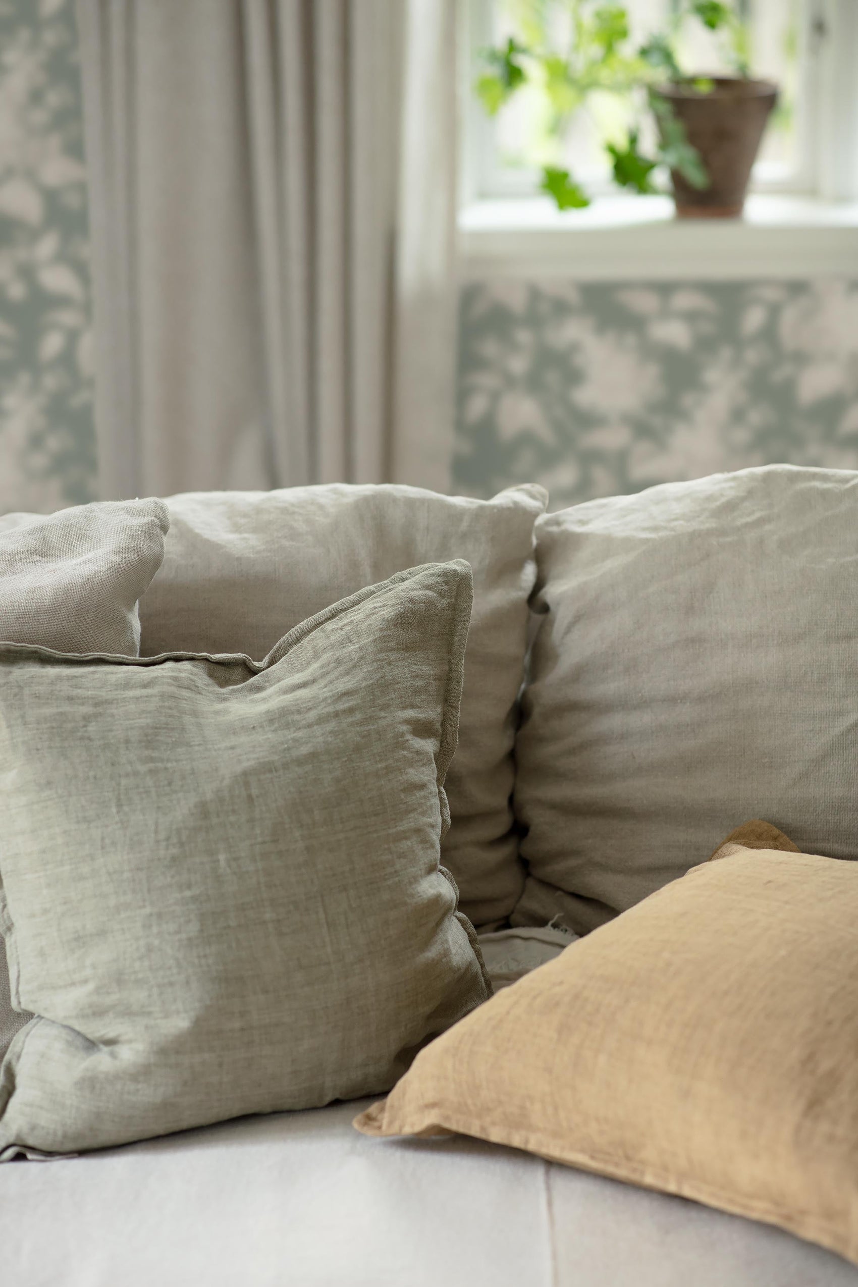 Groen Botanisch - BS63-0169 - Image5 - Österlen - 6963