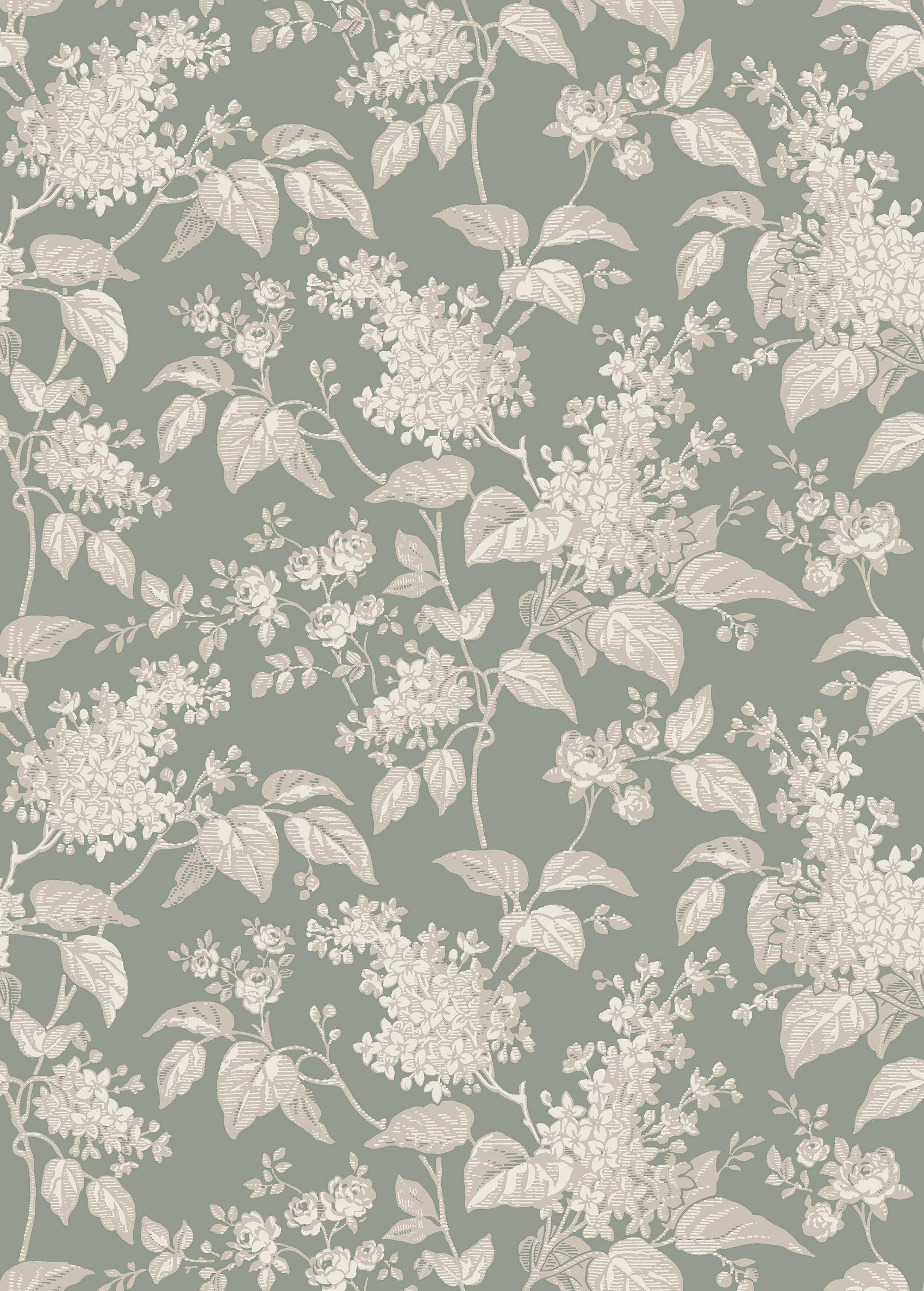 Groen Botanisch - BS63-0169 - Image1 - Österlen - 6963