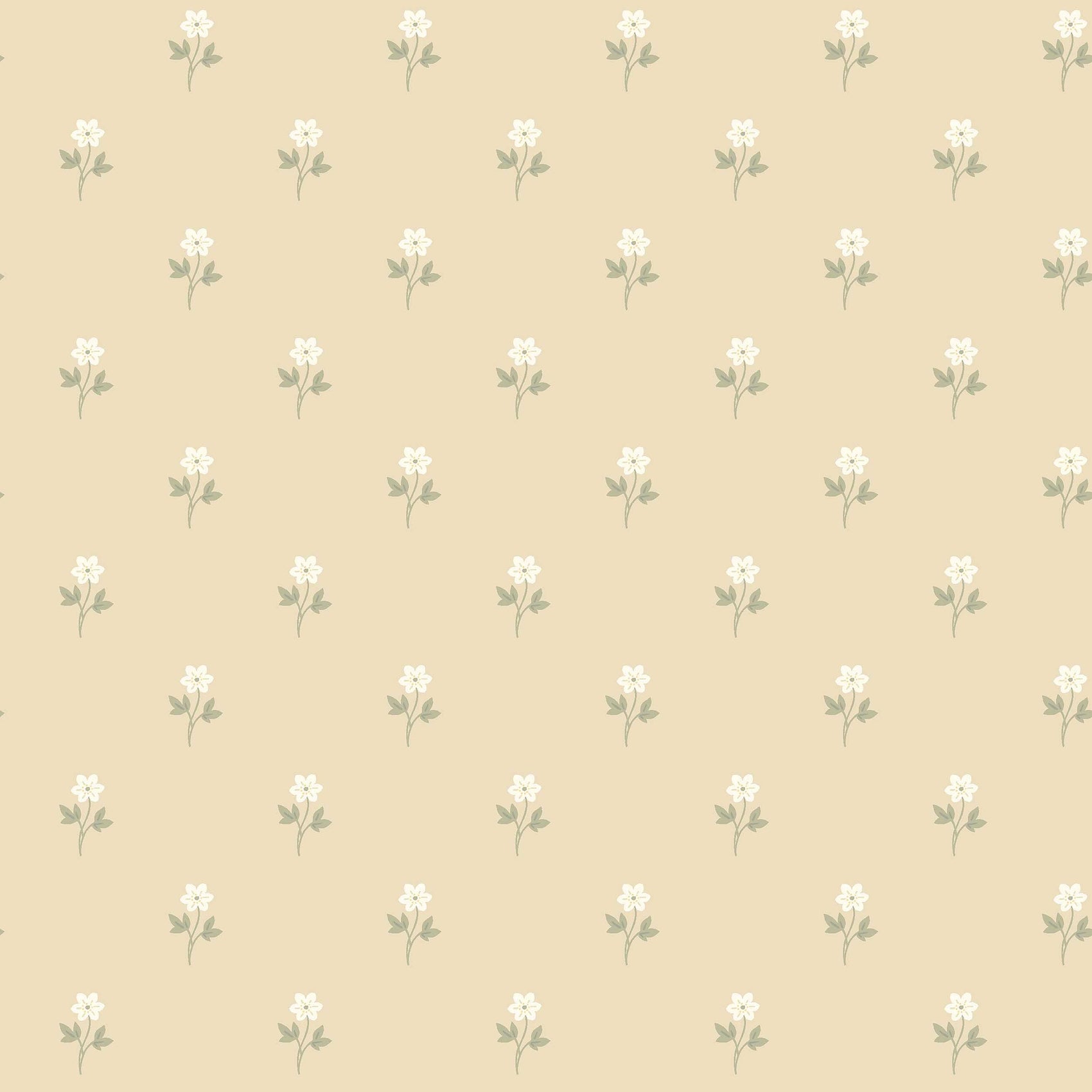 Geel Bloemen - BS72-0169 - Image1 - Österlen - 6972