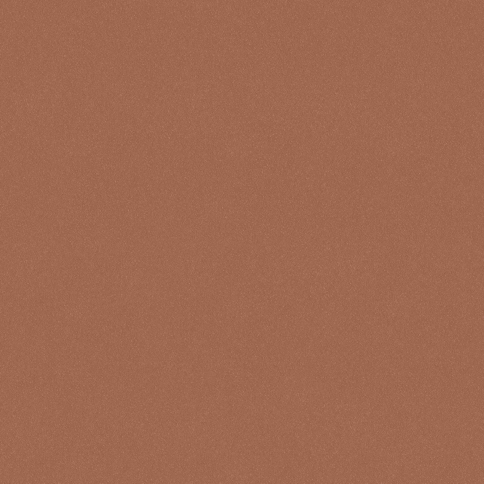 Rood Uni - BS78-0175 - Image1 - Pigment - 7578