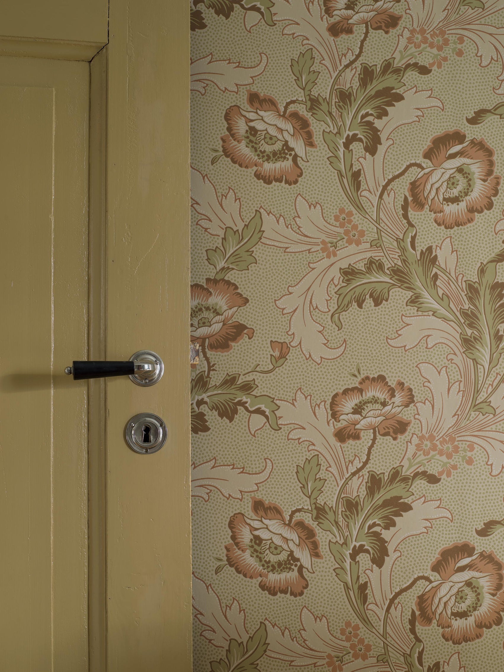 Rood Botanisch - BS69-0180 - Image4 - Anno II - 8069