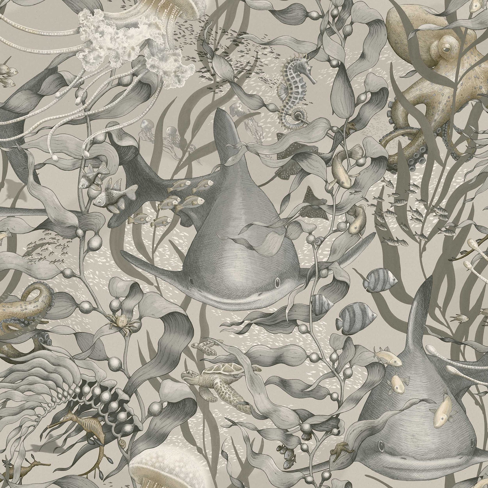 Taupe Dieren - BS51-0181 - Image1 - Fairyland - 8151